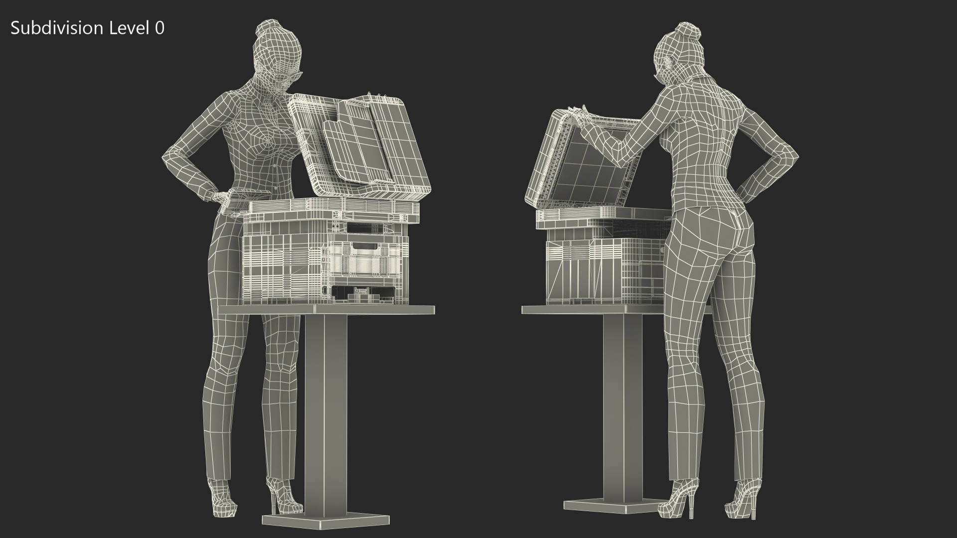 3D Xerox B215 Multifunction Laser Printer with Business Style Woman Rigged