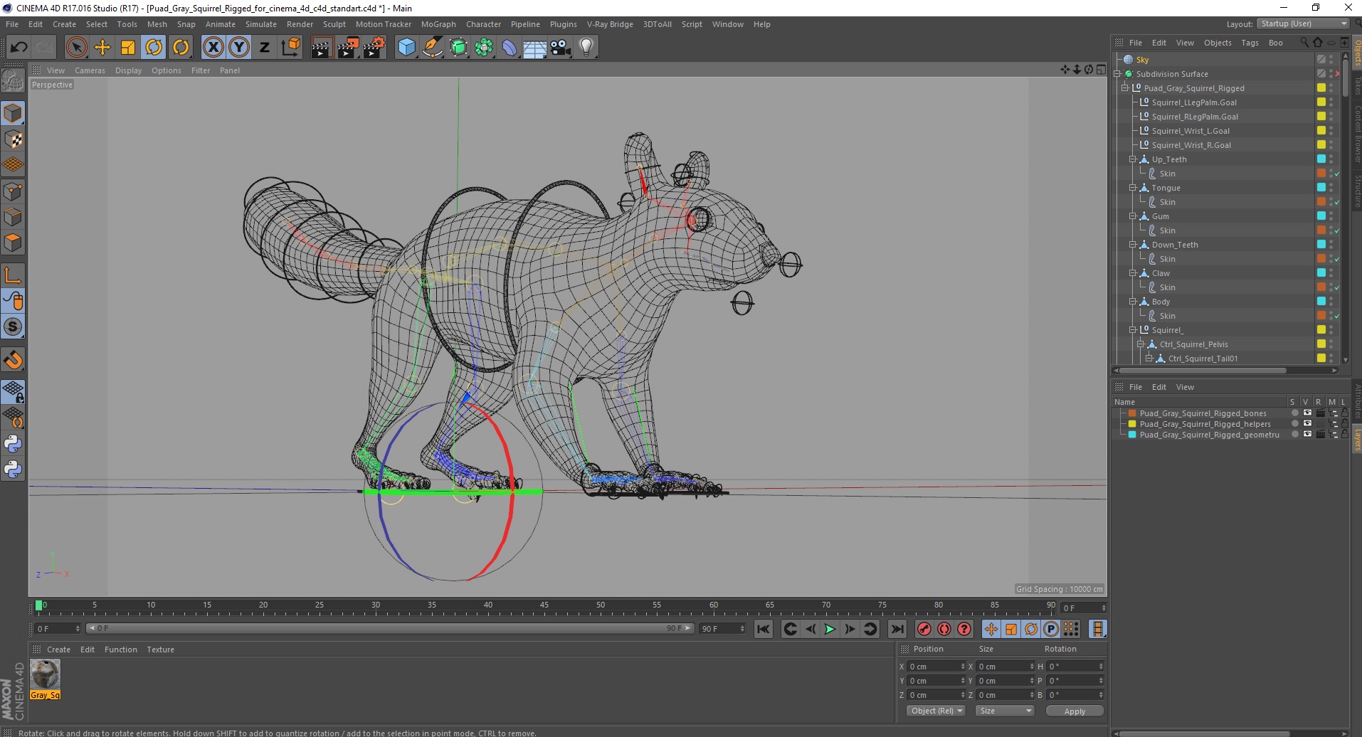 Gray Squirrel Rigged for Cinema 4D 3D model