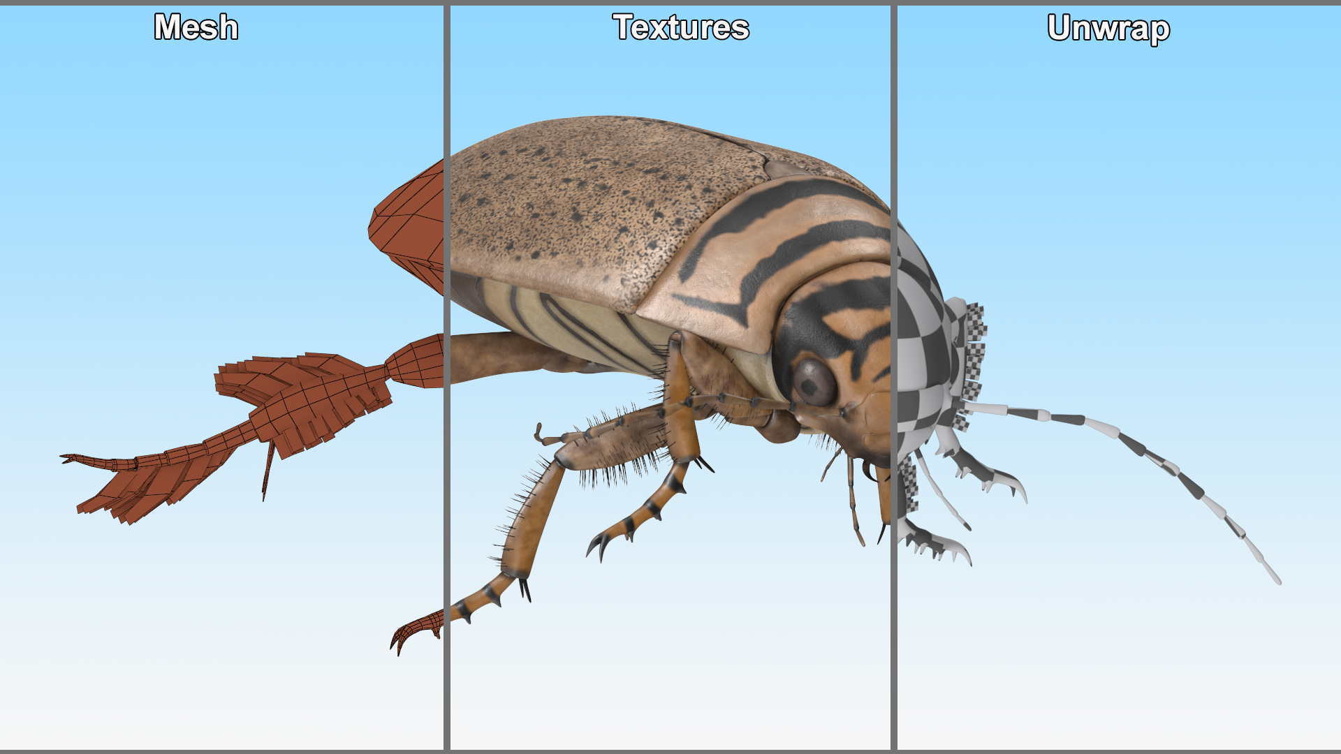 Aquatic Beetle Beige Floating 3D model