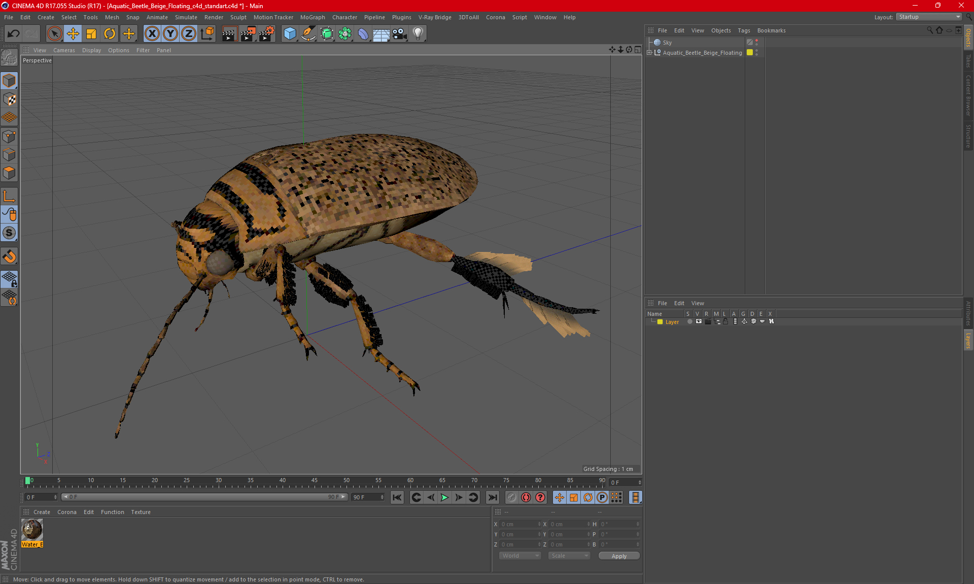 Aquatic Beetle Beige Floating 3D model