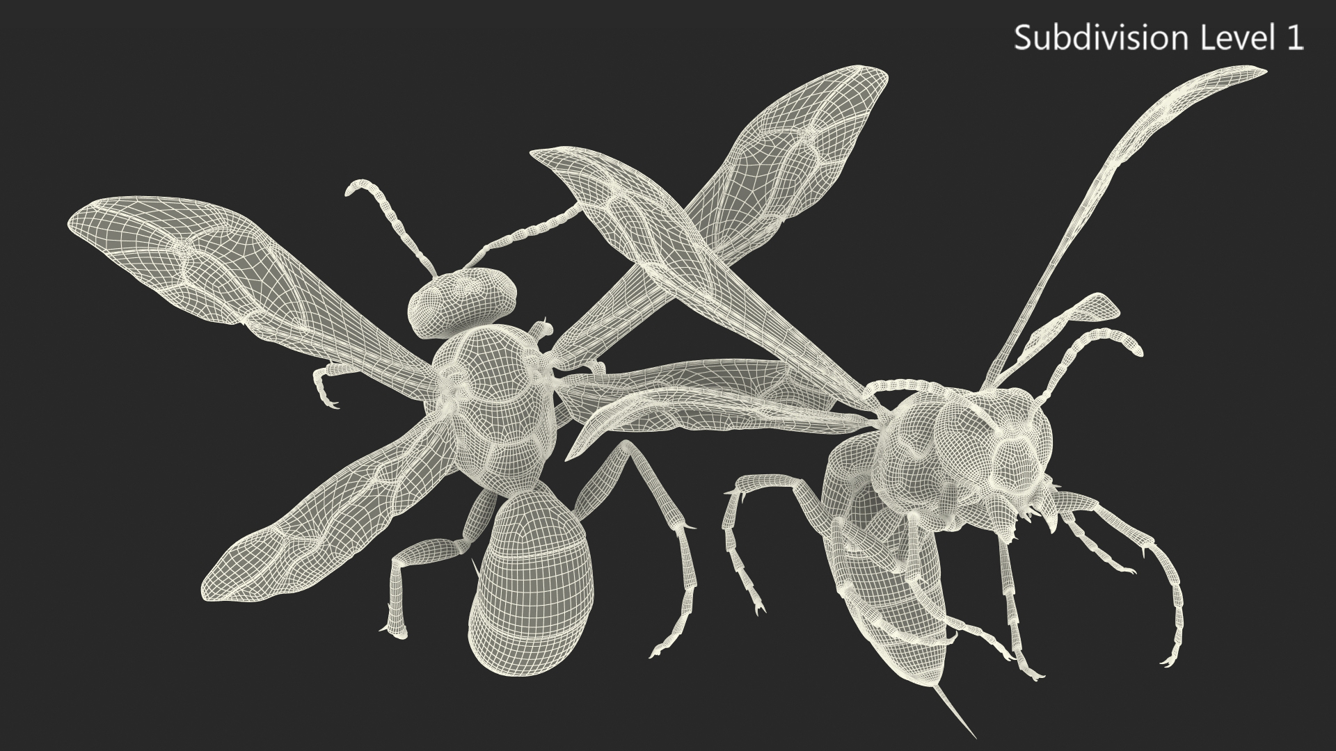 Wasp Attacking Pose 3D model