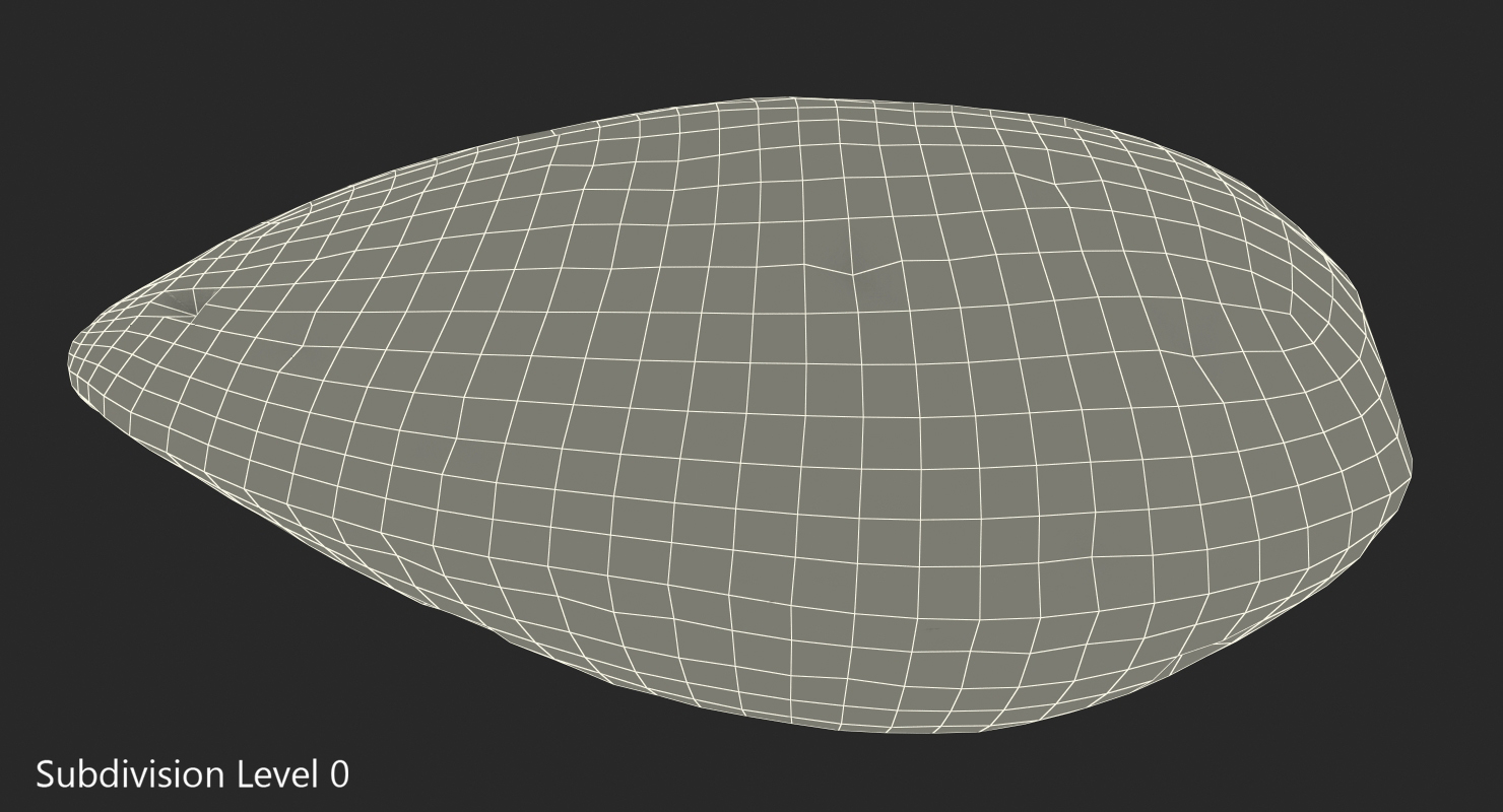 Raw Almond In Shell 3D model