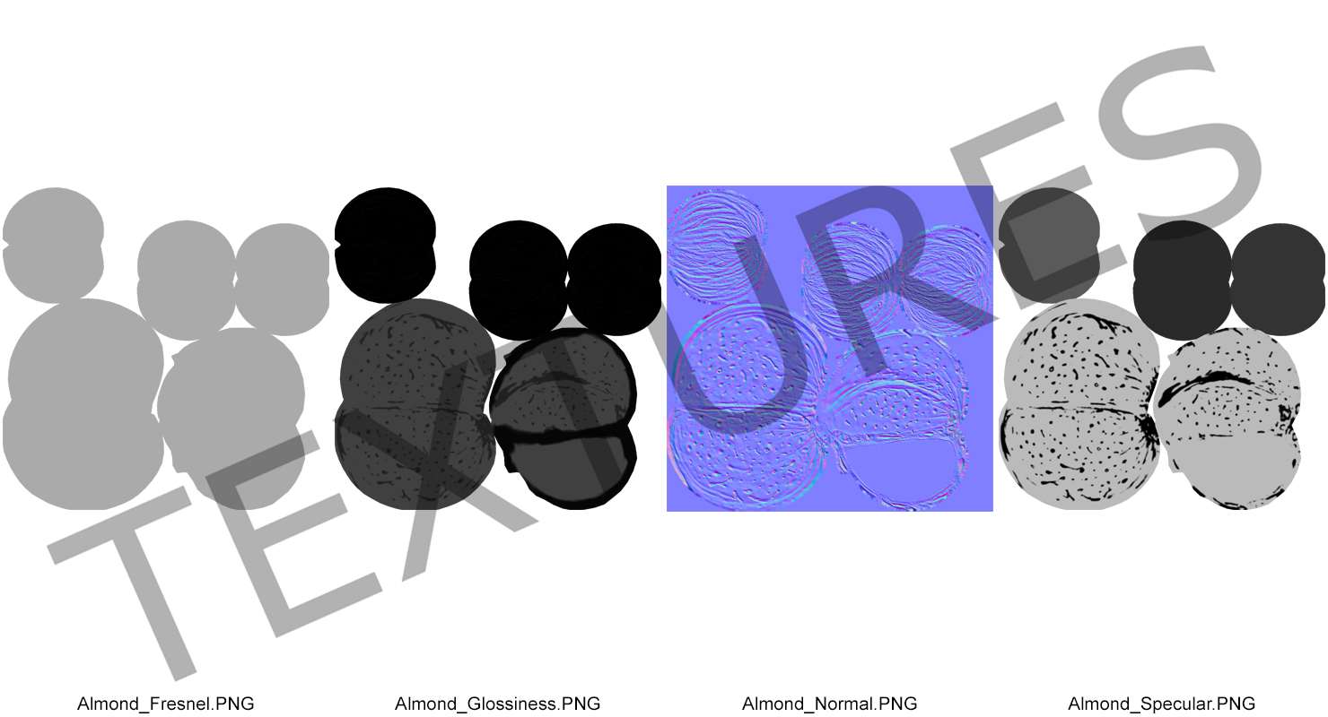 Raw Almond In Shell 3D model