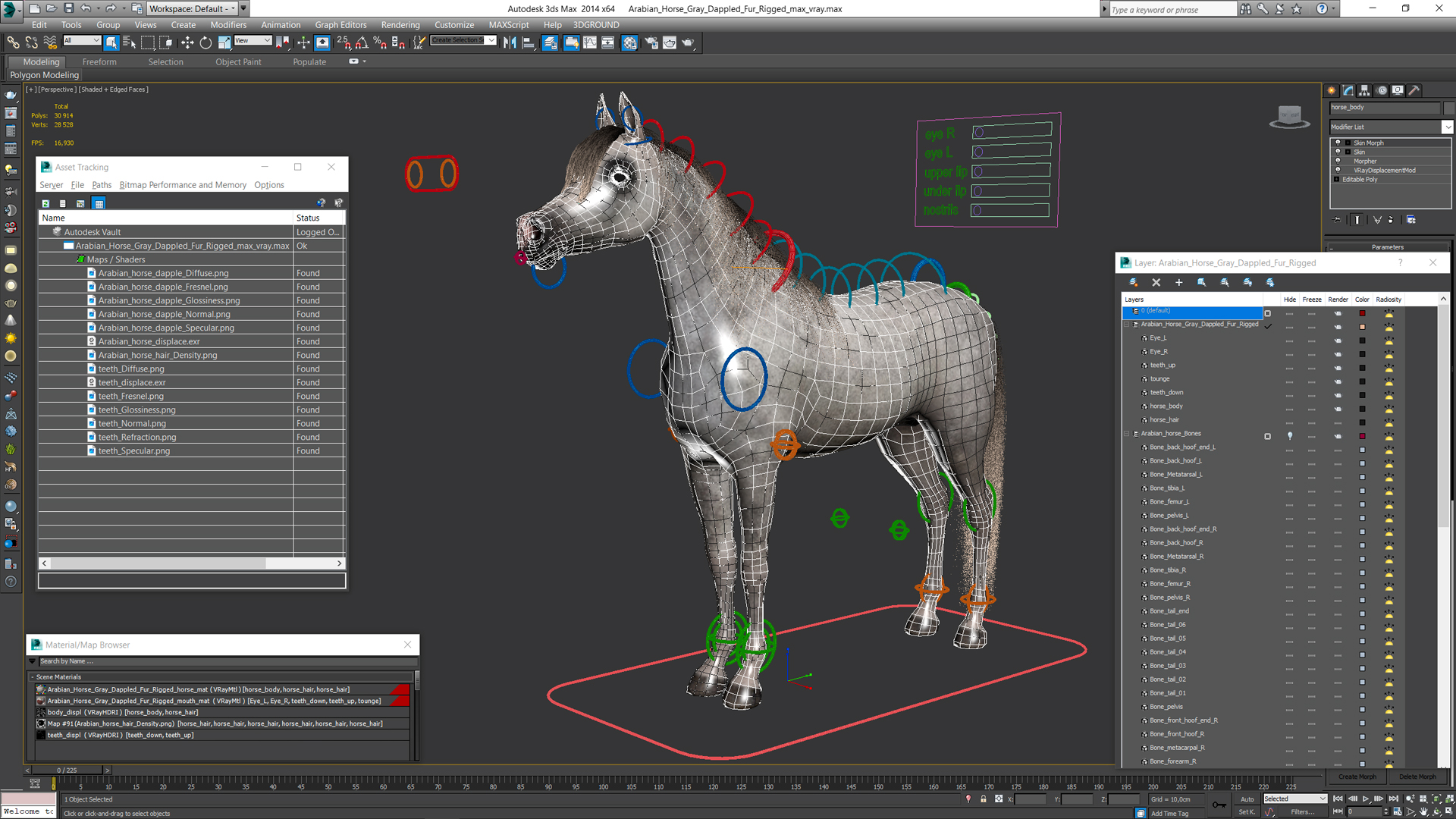 Arabian Horse Gray Dappled Fur Rigged 3D