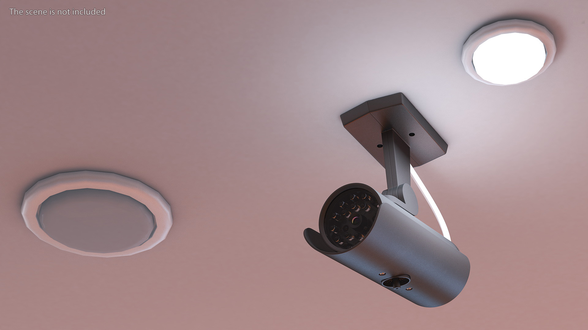 3D Interior or Exterior Security Camera