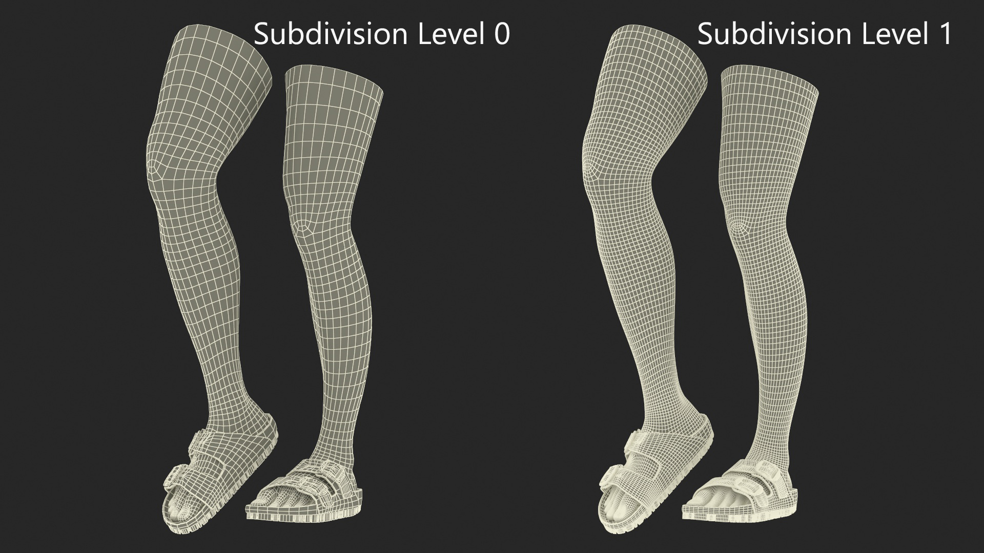 3D model Female Legs in Flip-Flops