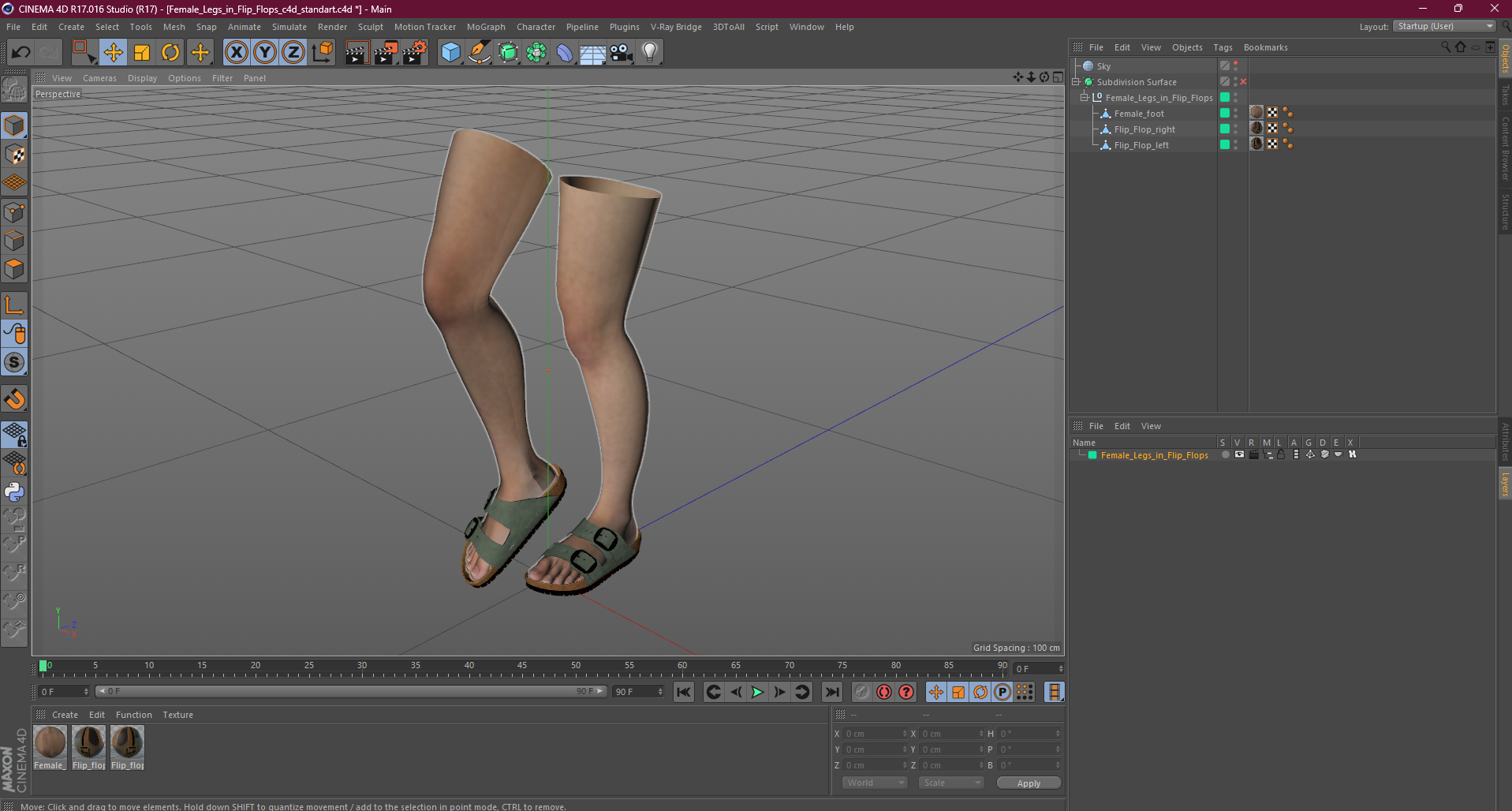 3D model Female Legs in Flip-Flops