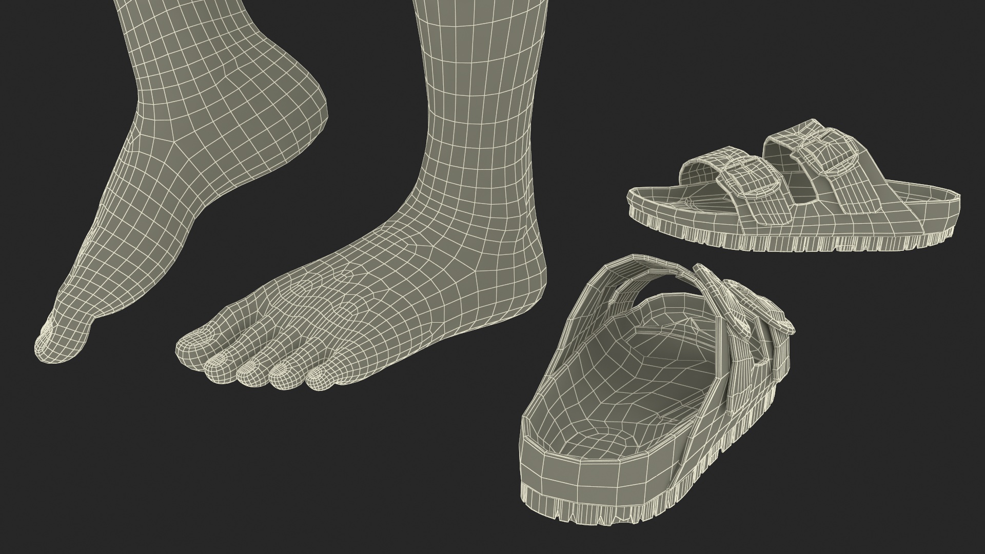 3D model Female Legs in Flip-Flops