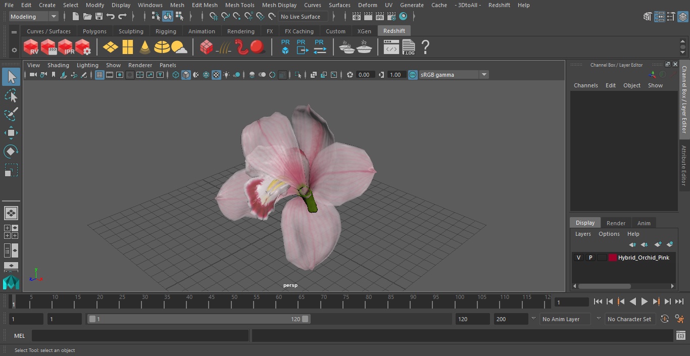 3D Hybrid Orchid Pink model