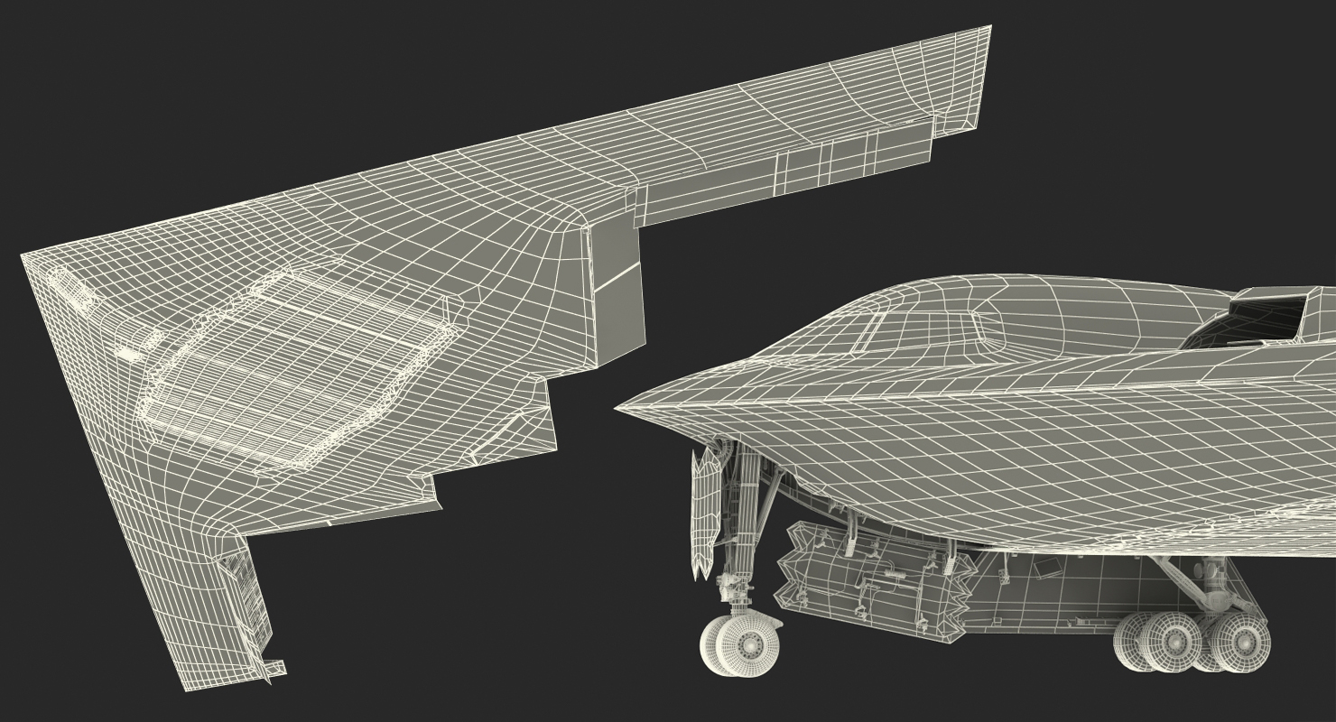 Stealth Bomber B 2 Spirit Rigged 3D