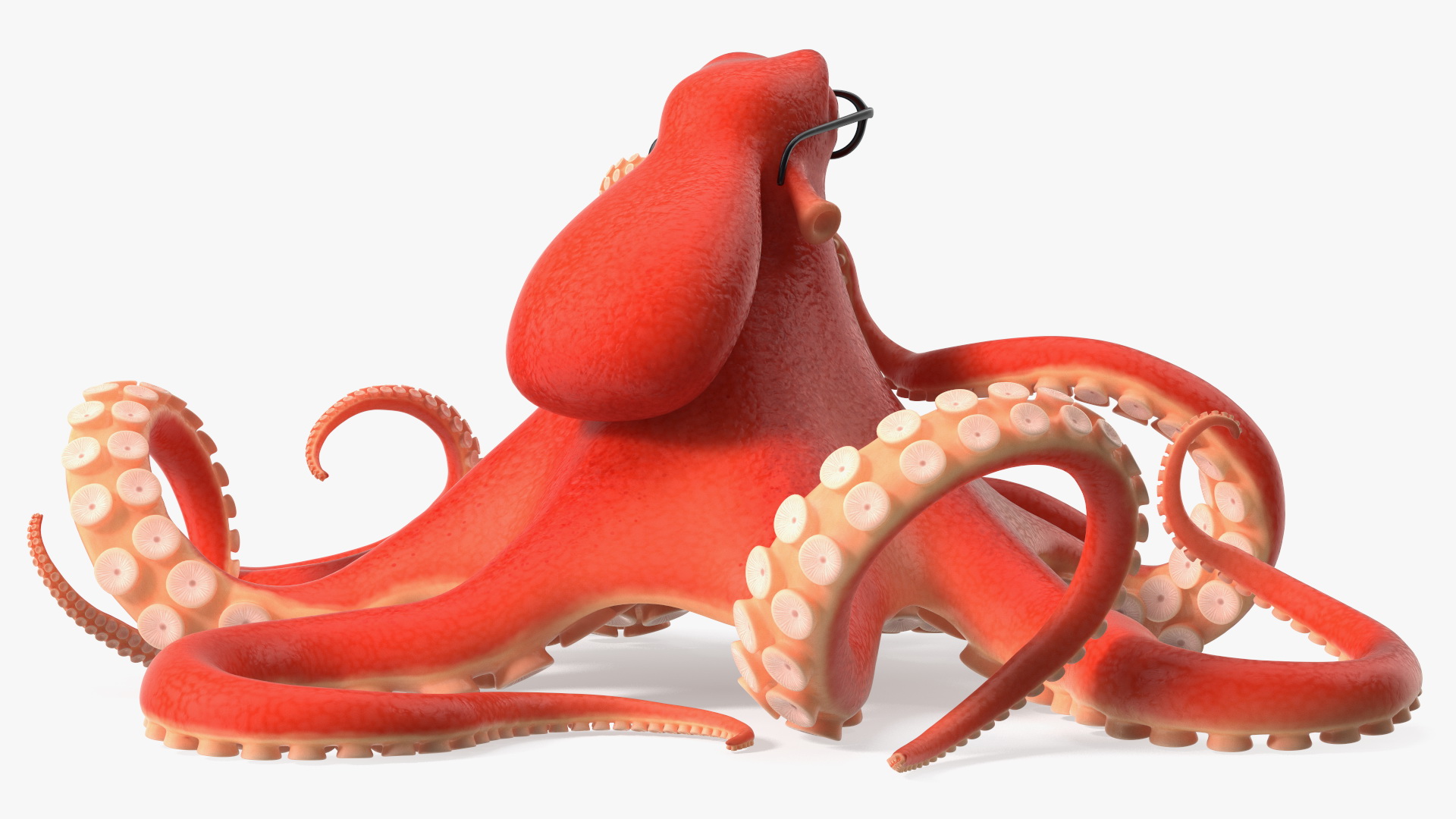 3D Octopus Character Wearing Glasses model
