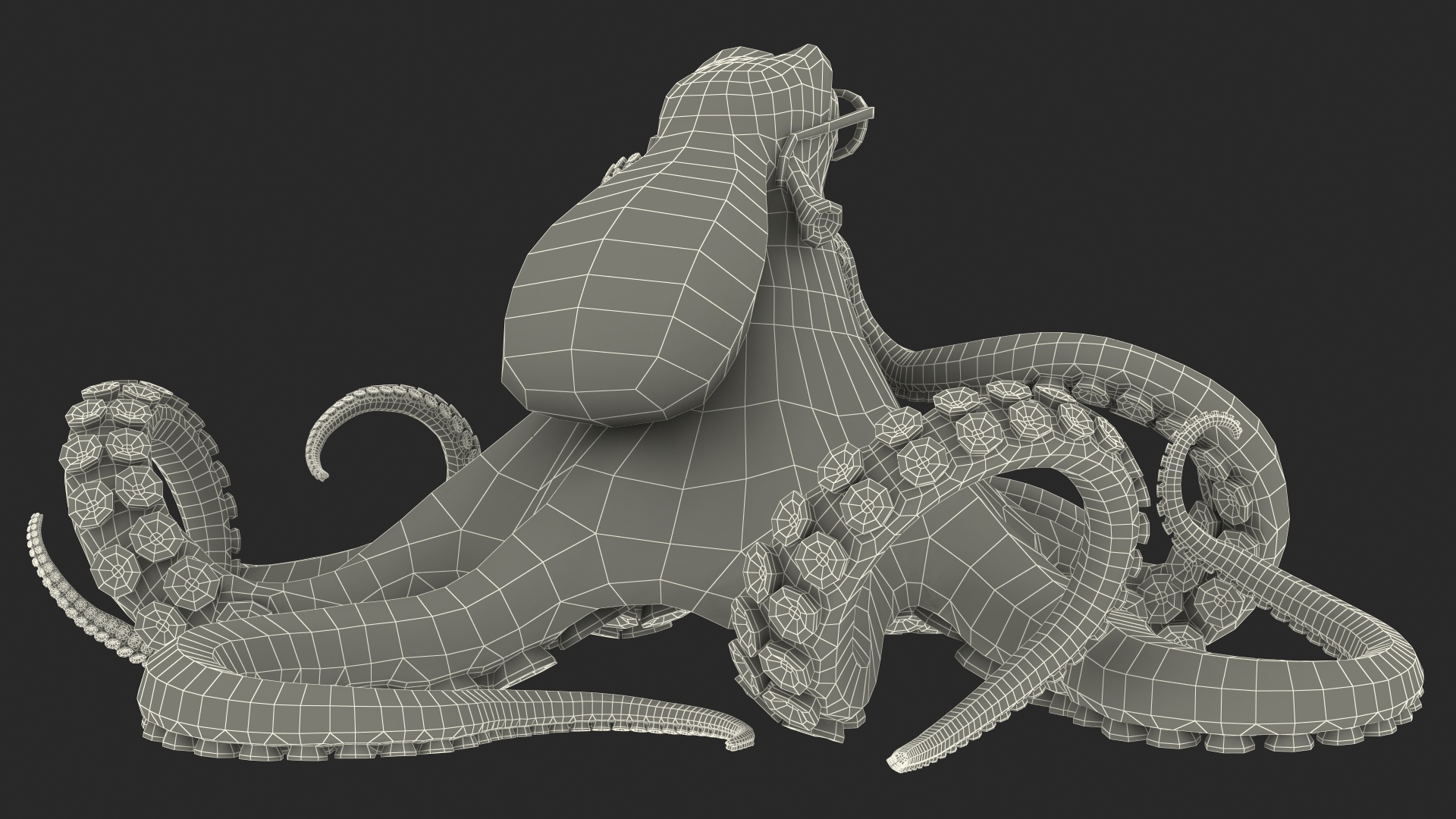 3D Octopus Character Wearing Glasses model