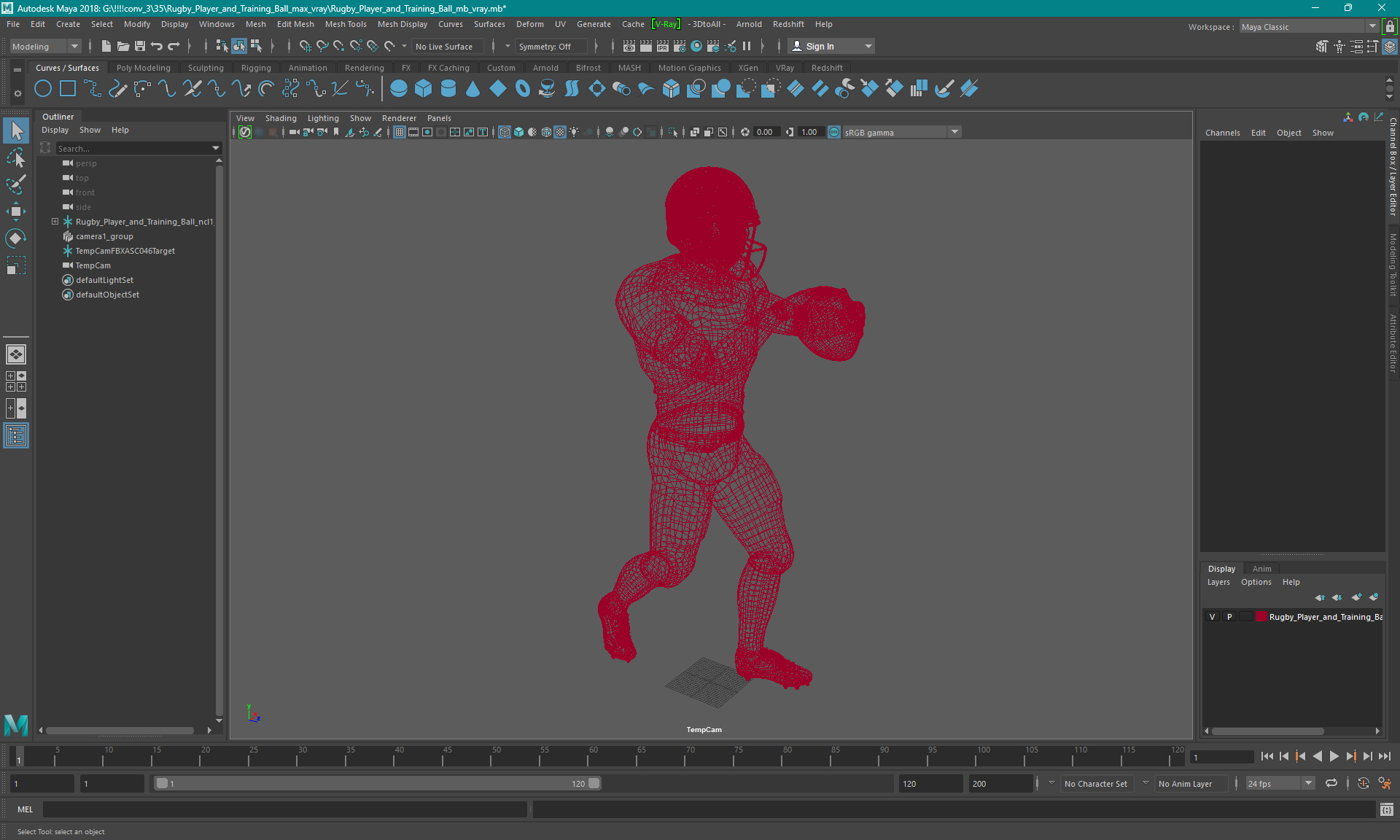 3D model Rugby Player and Training Ball