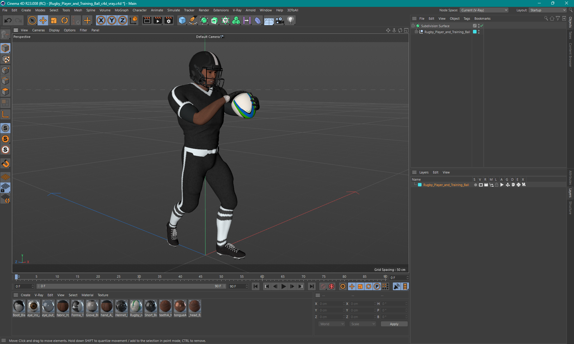 3D model Rugby Player and Training Ball
