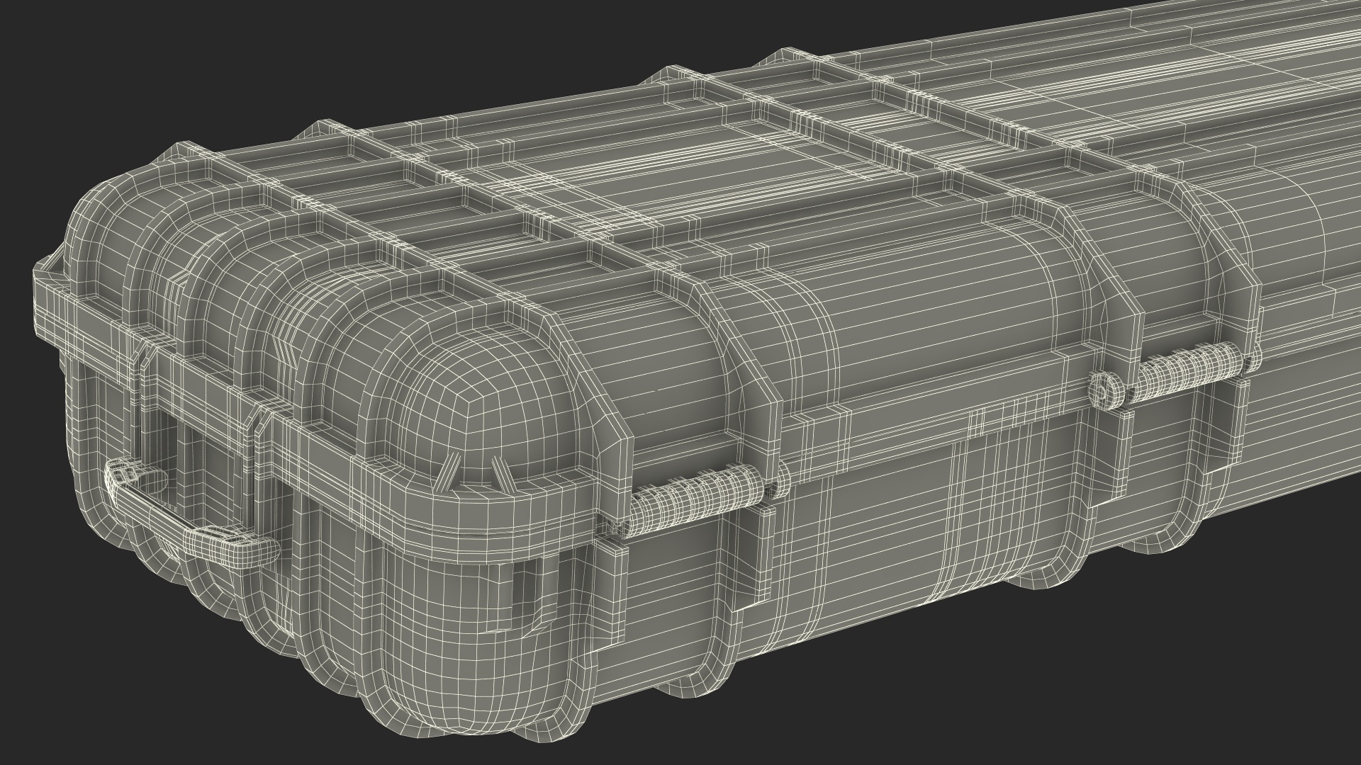 Waterproof Rifle Case Sand Color 3D
