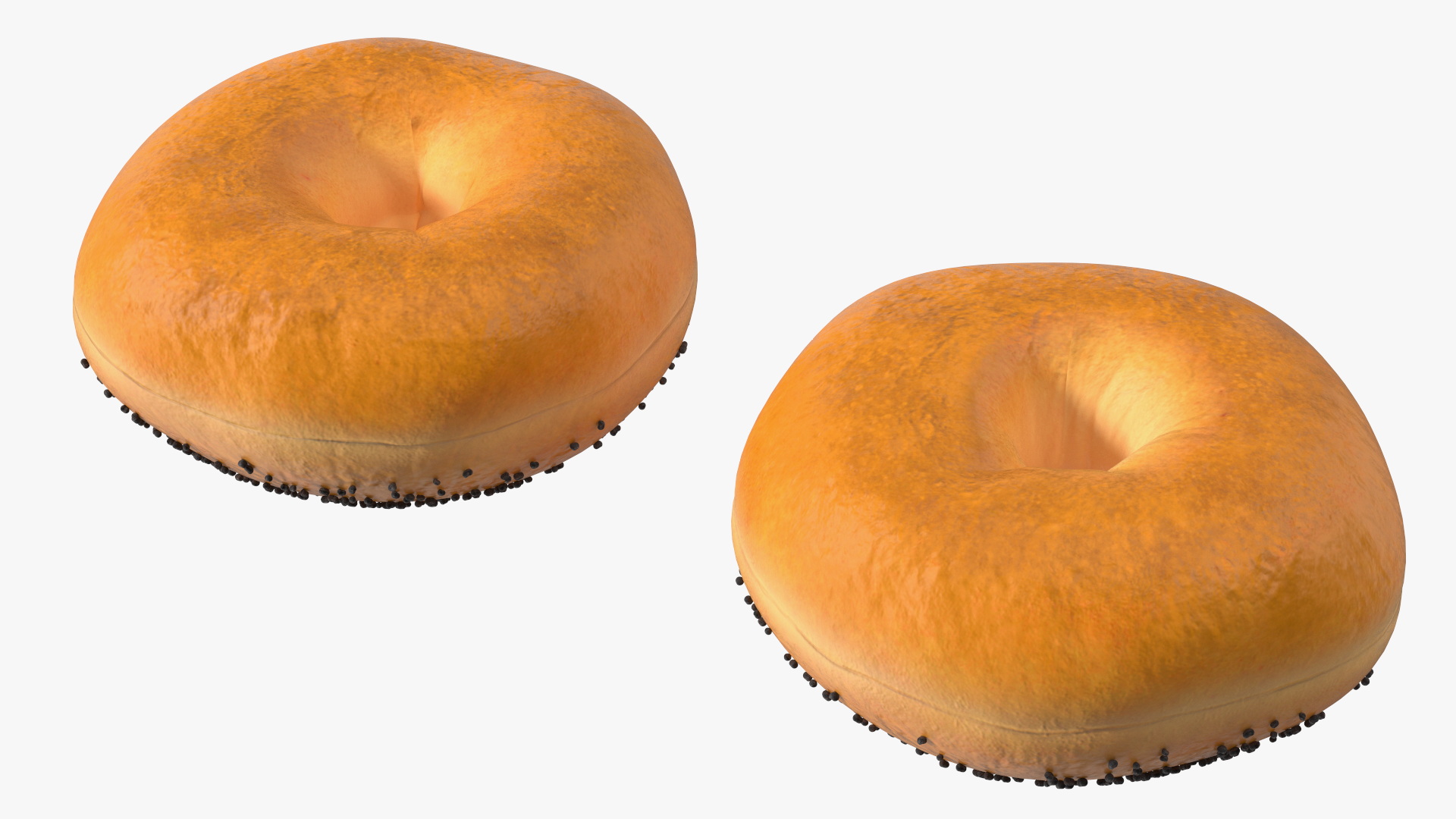 Poppy Seed Bagels 3D
