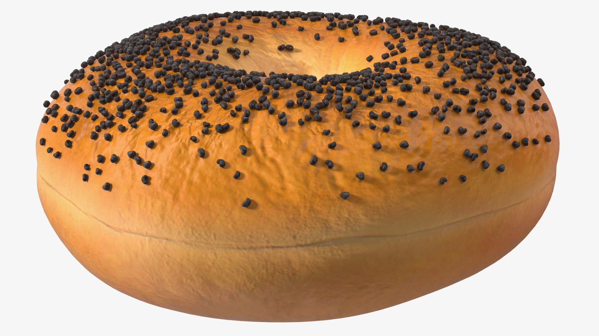 Poppy Seed Bagels 3D
