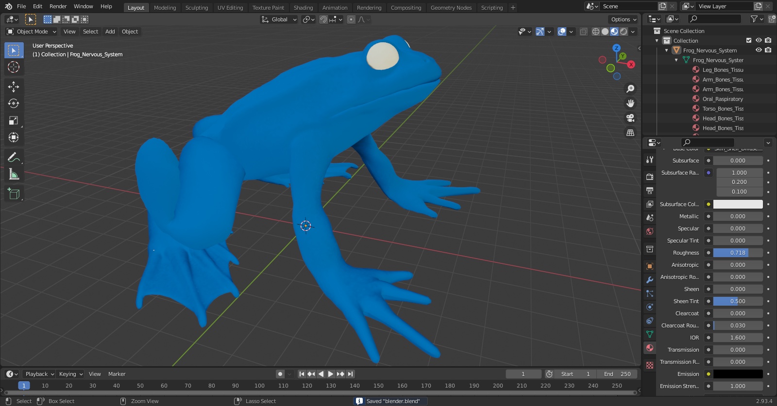 Frog Nervous System 3D model