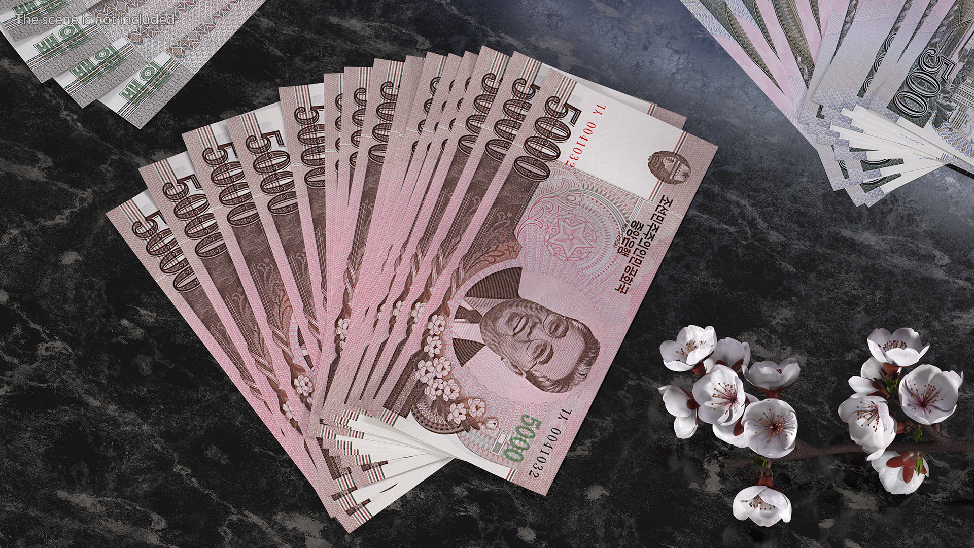 Fan of North Korea 5000 Won Banknotes 2008 3D