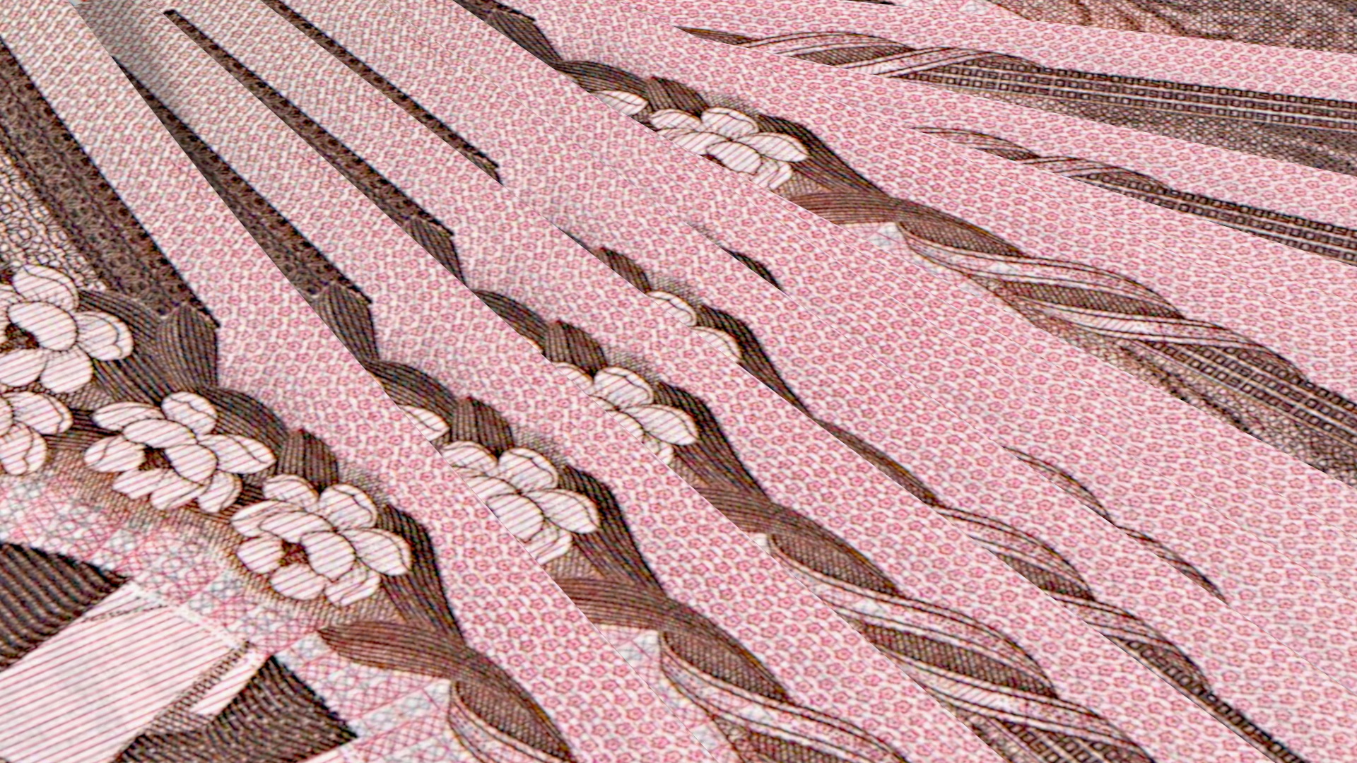 Fan of North Korea 5000 Won Banknotes 2008 3D