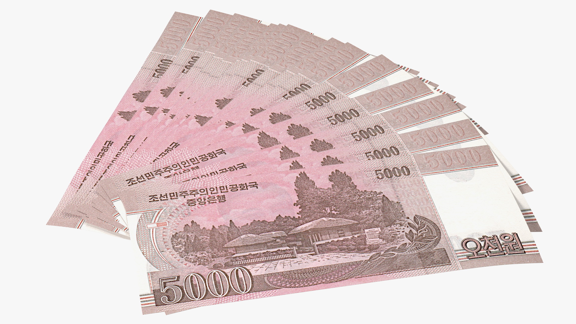 Fan of North Korea 5000 Won Banknotes 2008 3D