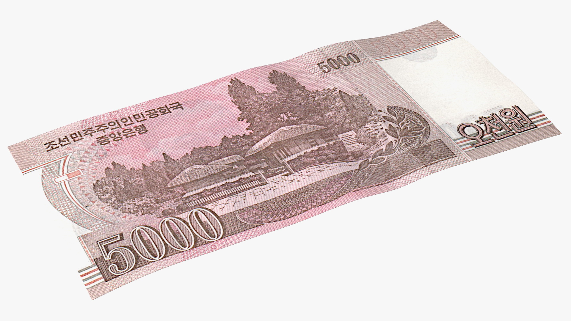 Fan of North Korea 5000 Won Banknotes 2008 3D