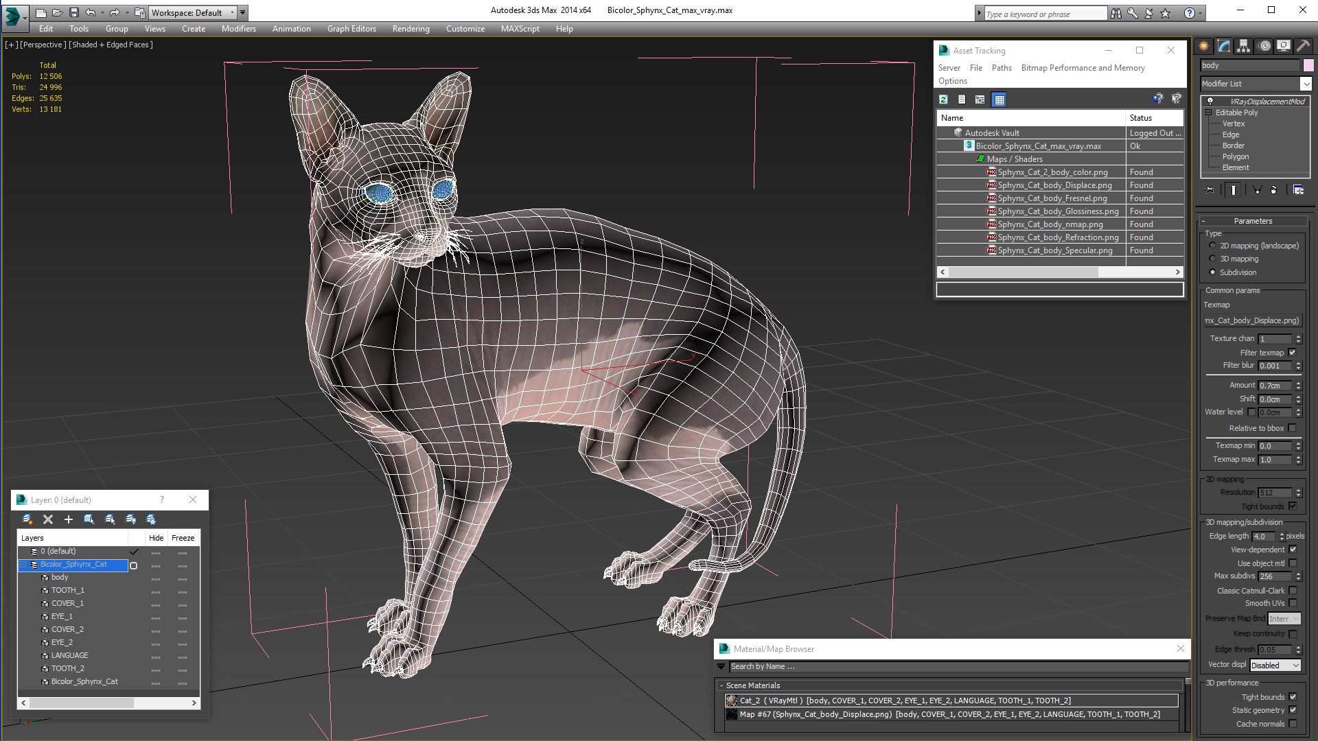 3D Bicolor Sphynx Cat model