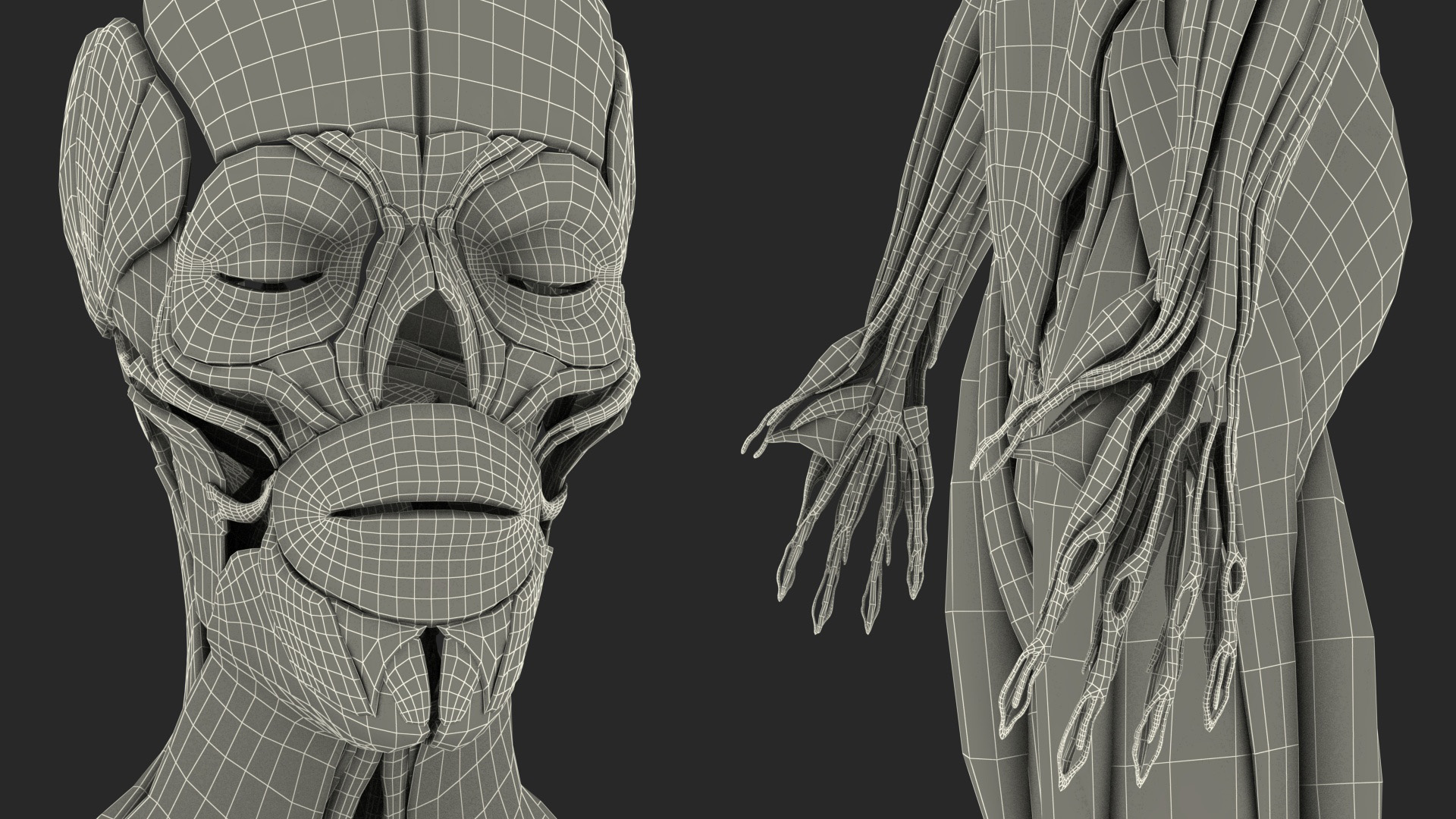 3D model Male Full Body Anatomy Asian Rigged