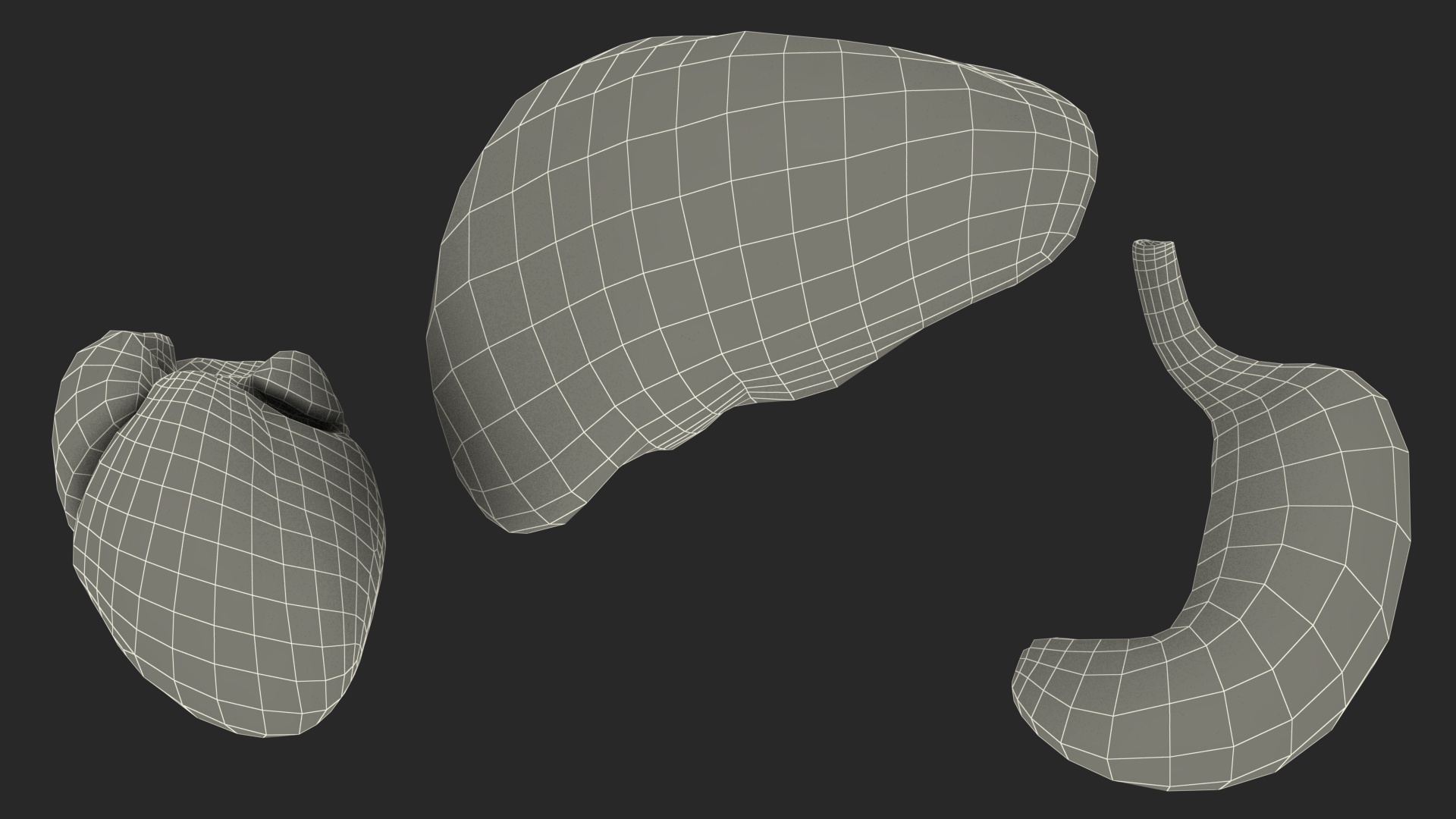 3D model Male Full Body Anatomy Asian Rigged