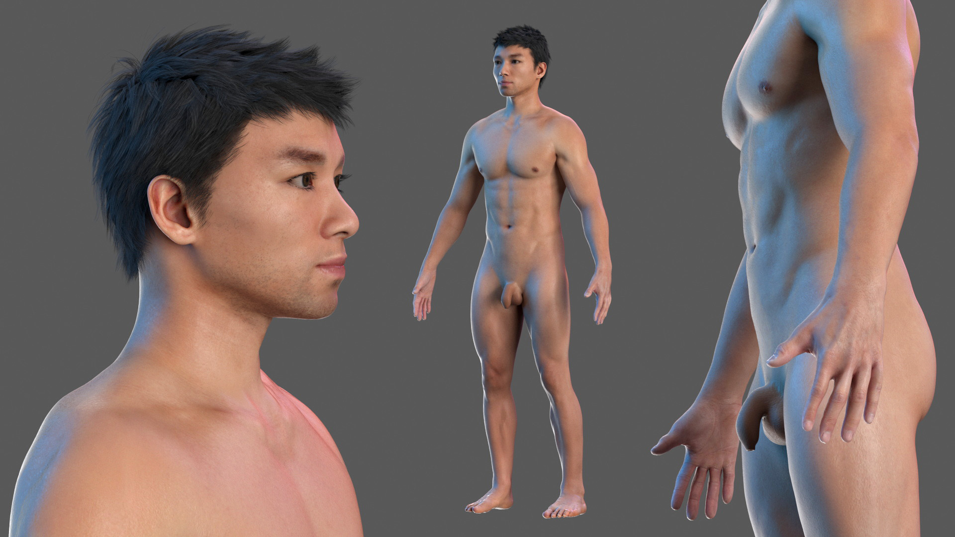 3D model Male Full Body Anatomy Asian Rigged