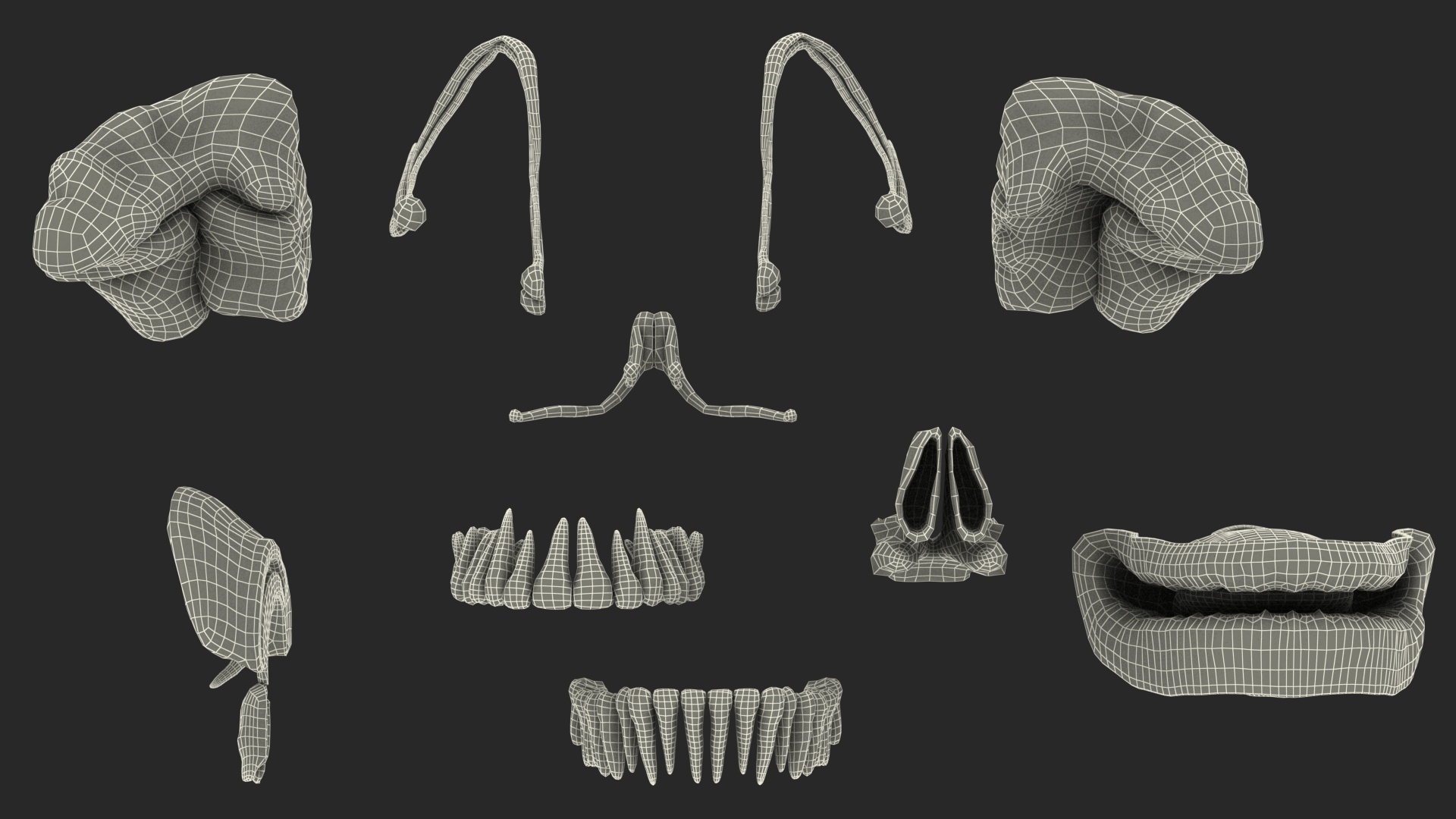 3D model Male Full Body Anatomy Asian Rigged