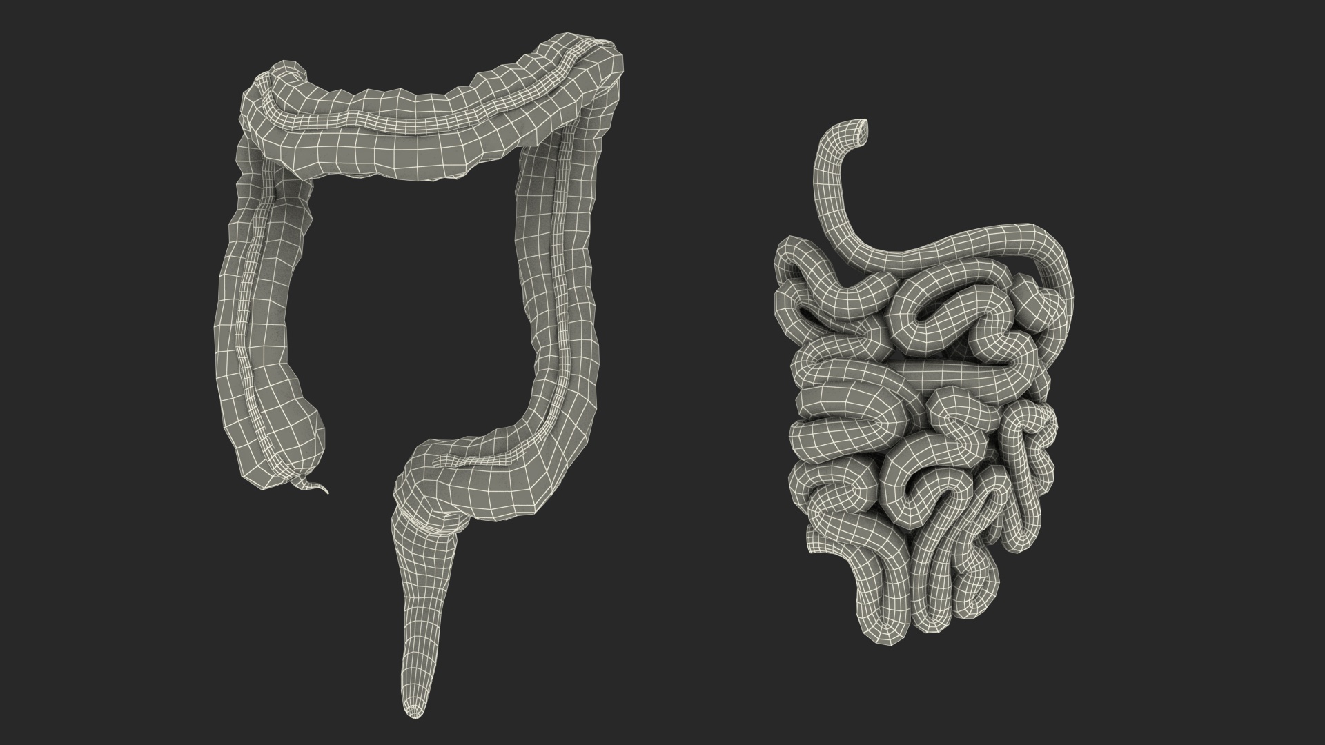 3D model Male Full Body Anatomy Asian Rigged