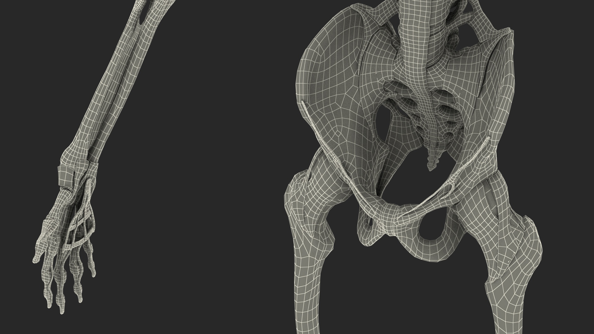 3D model Male Full Body Anatomy Asian Rigged