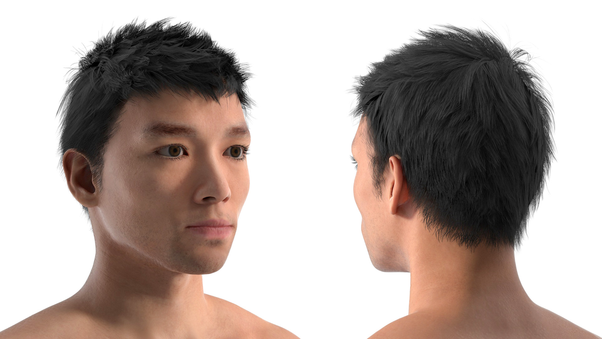 3D model Male Full Body Anatomy Asian Rigged