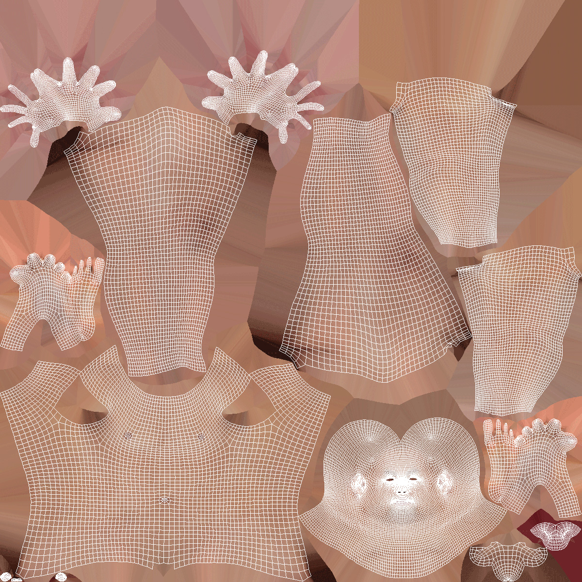 3D model Male Full Body Anatomy Asian Rigged