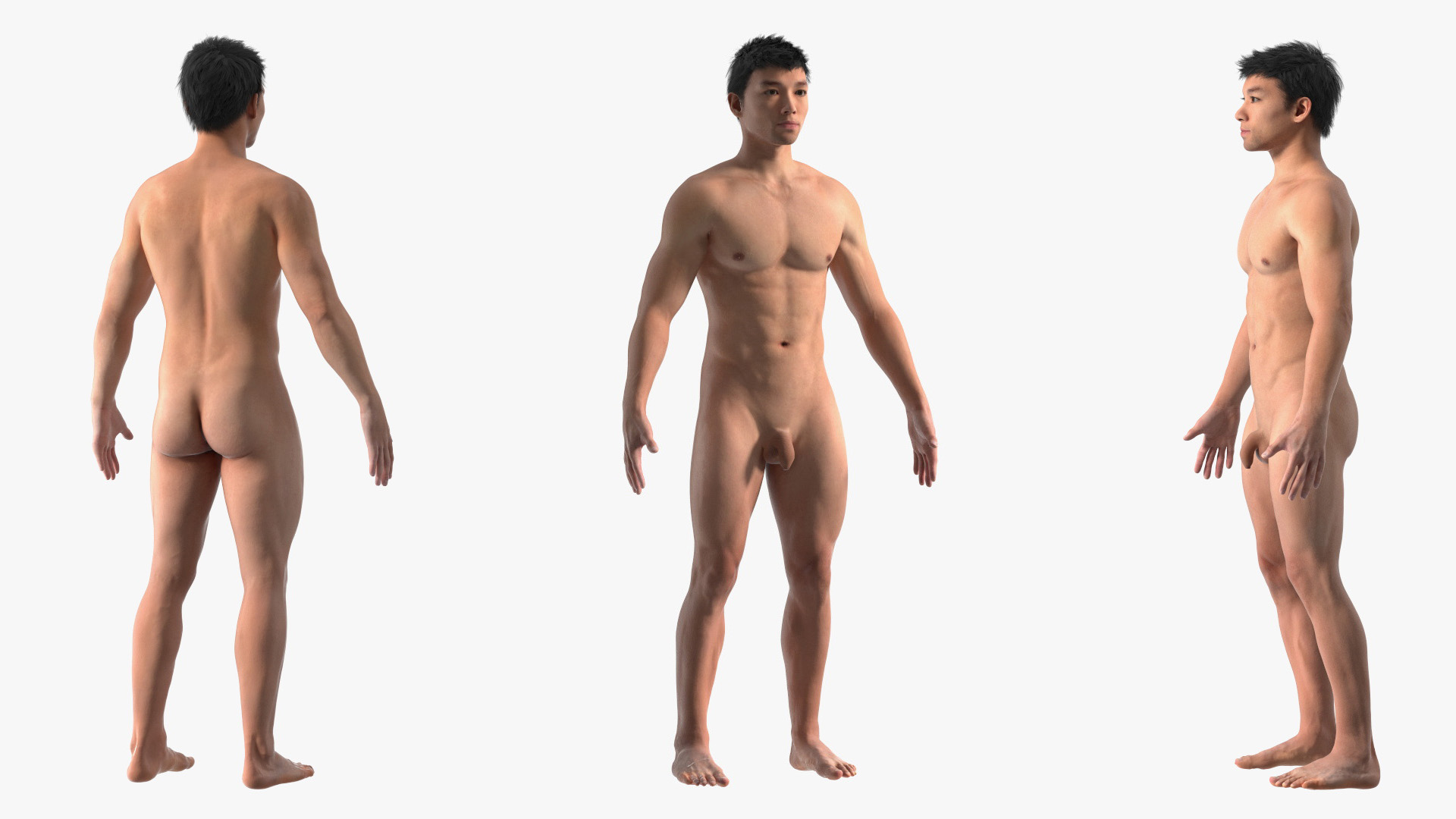 3D model Male Full Body Anatomy Asian Rigged
