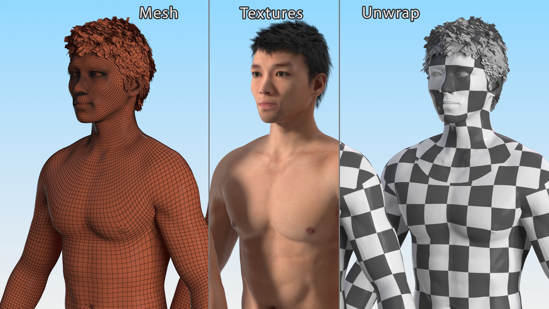 3D model Male Full Body Anatomy Asian Rigged