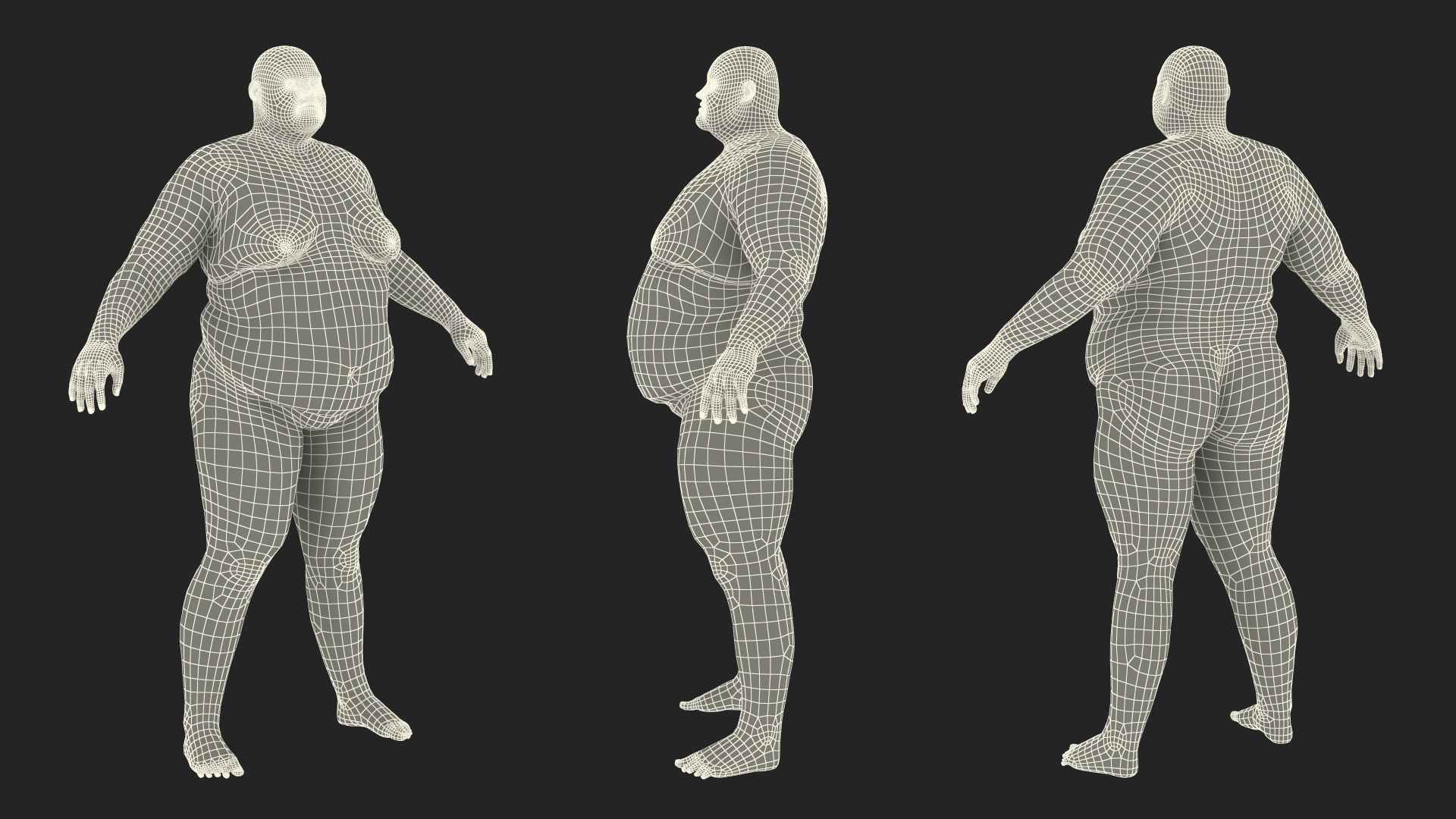 3D Fat Man Fur Rigged model
