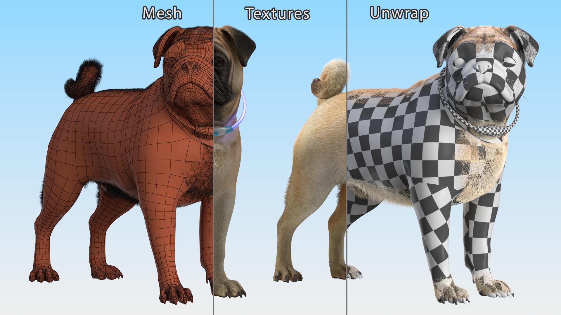 3D model Pug Dog Wearing LED Collar Fur