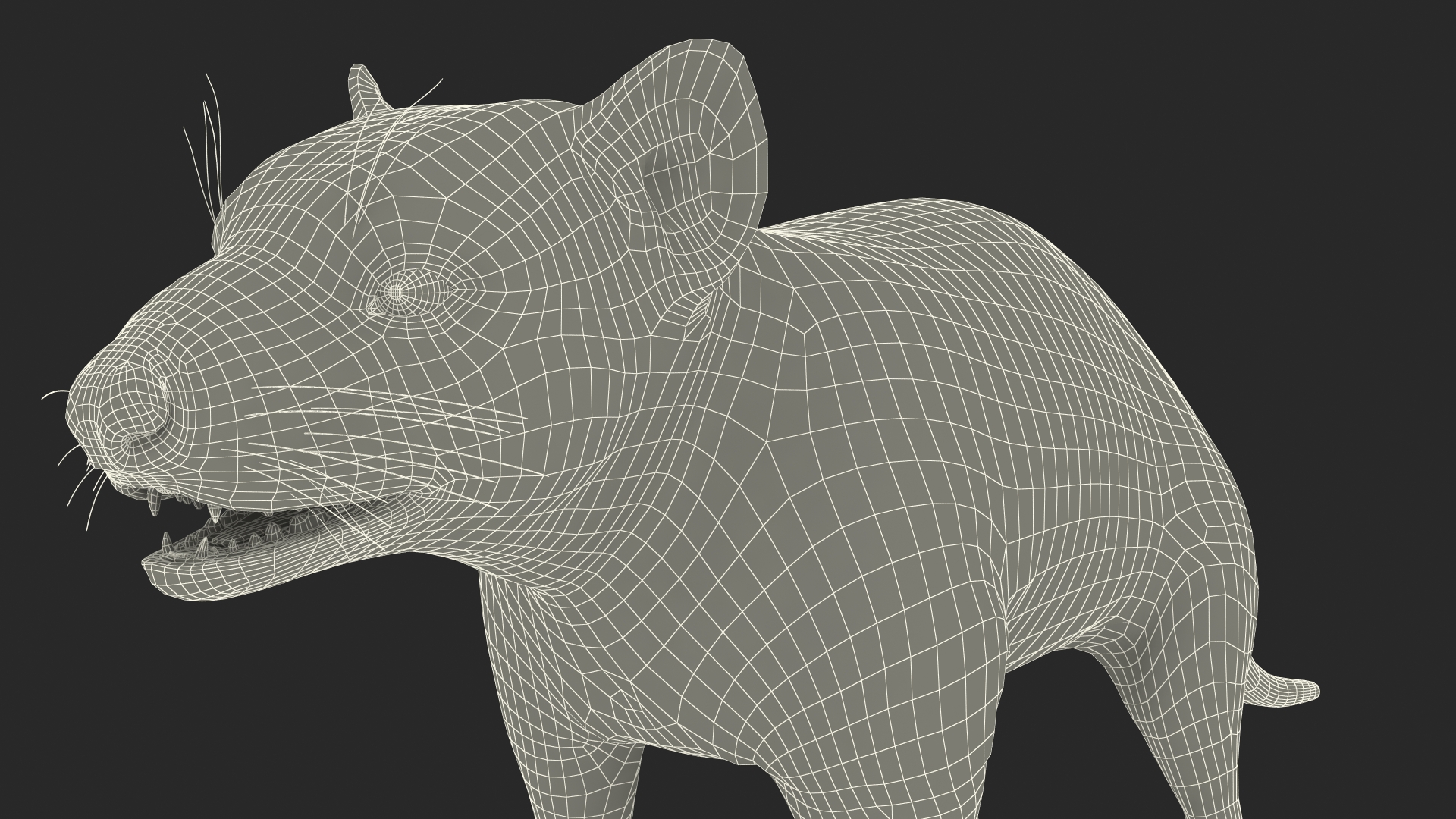 3D Tasmanian Devil Fur Rigged