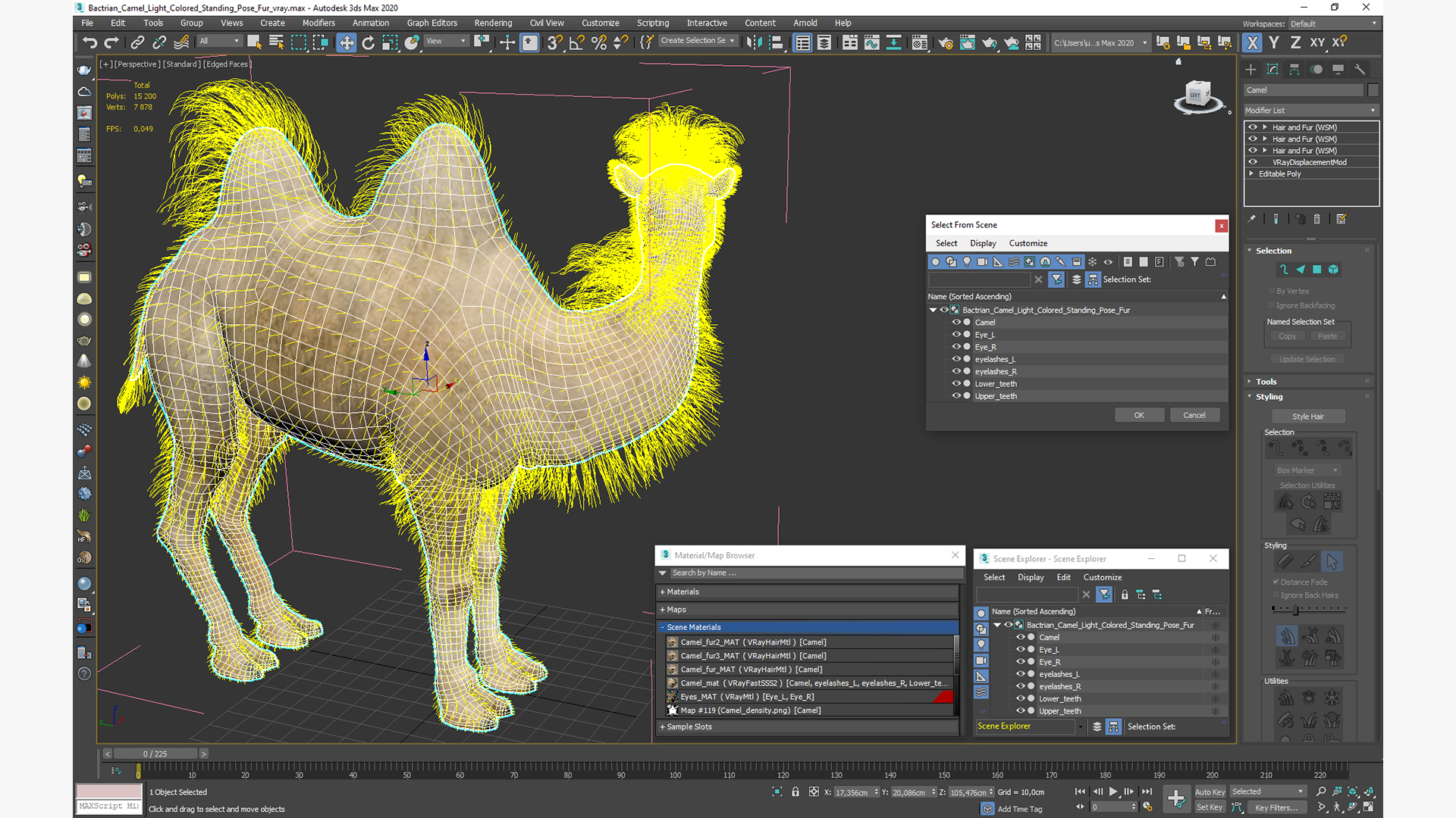 3D Bactrian Camel Light Colored Standing Pose Fur