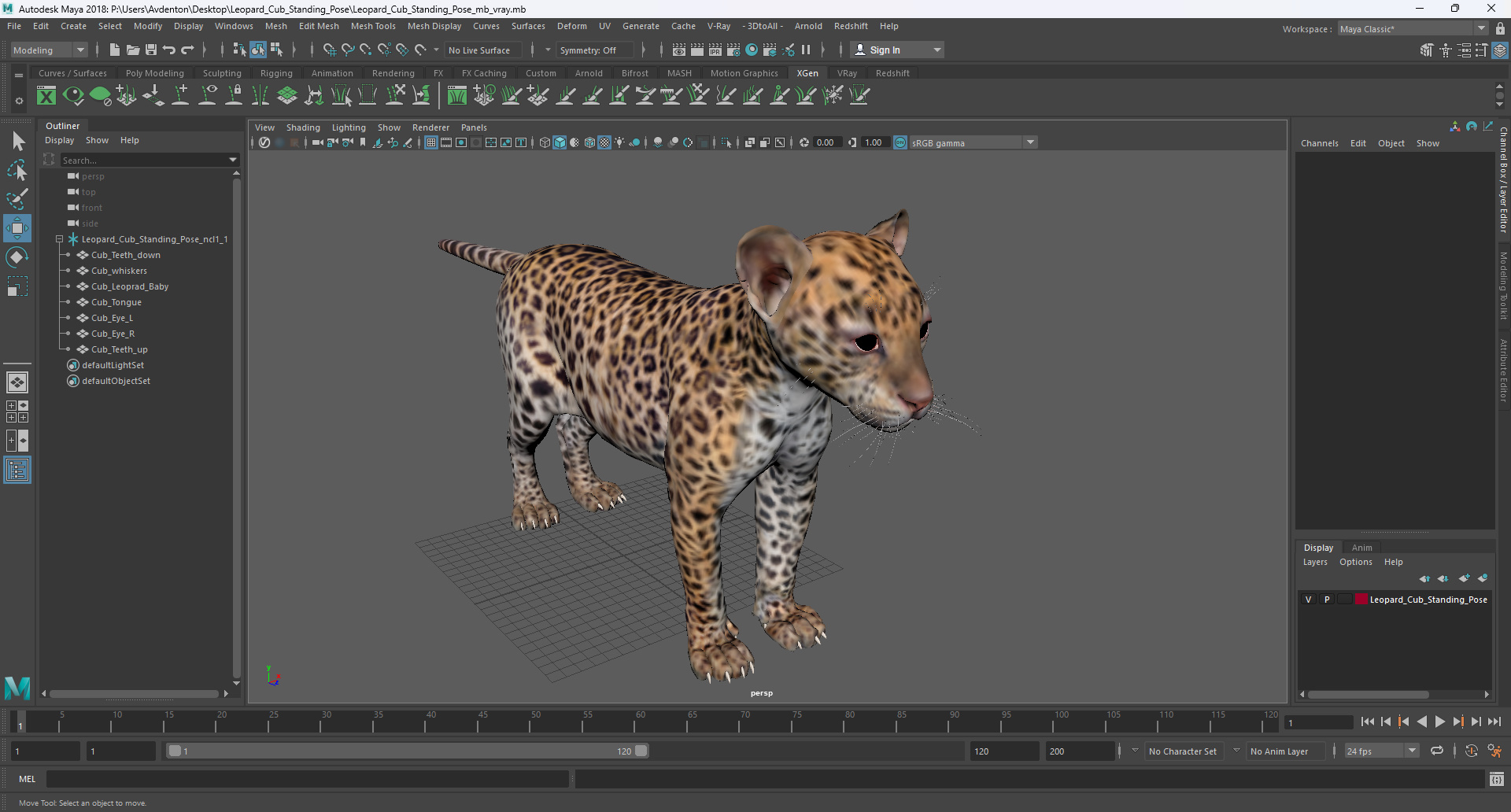 3D model Leopard Cub Standing Pose