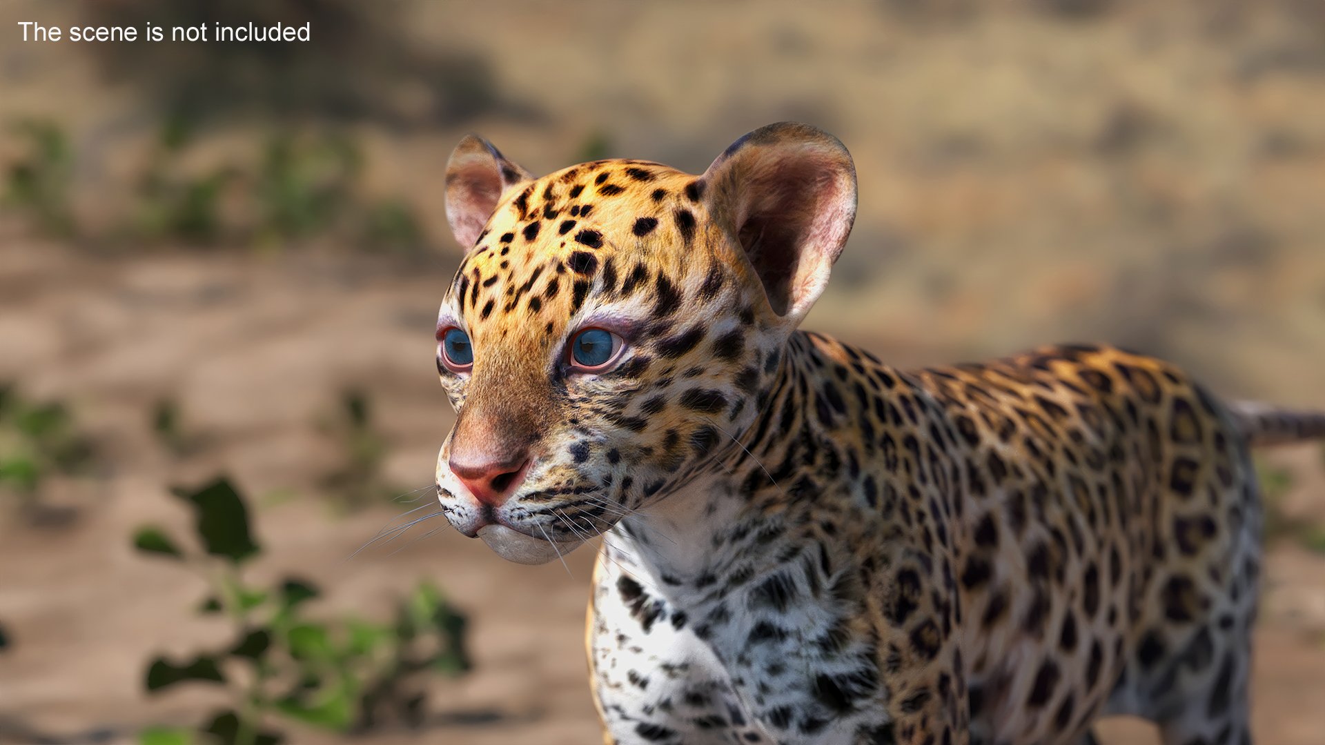 3D model Leopard Cub Standing Pose
