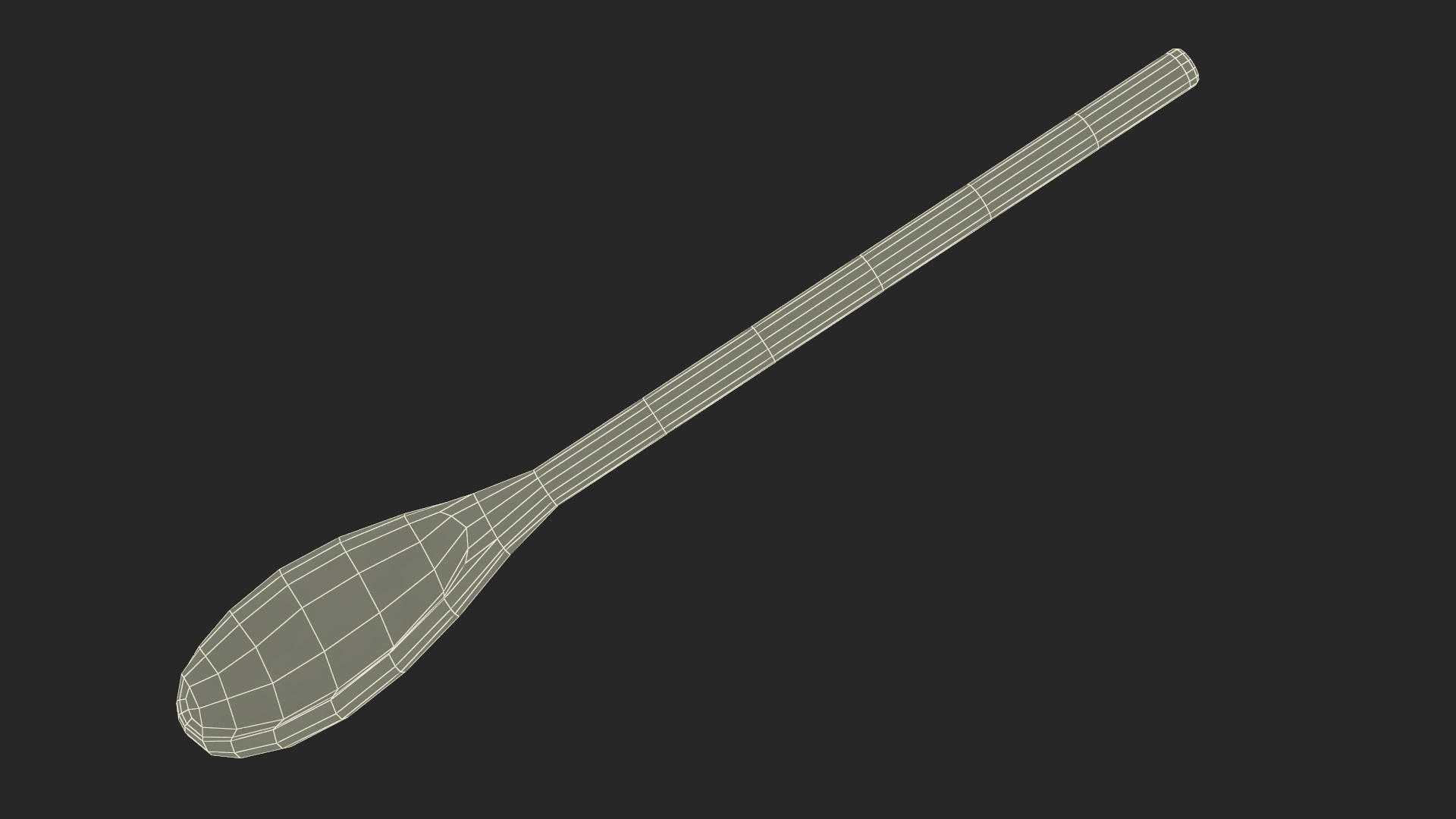 Wooden Spoon 3D