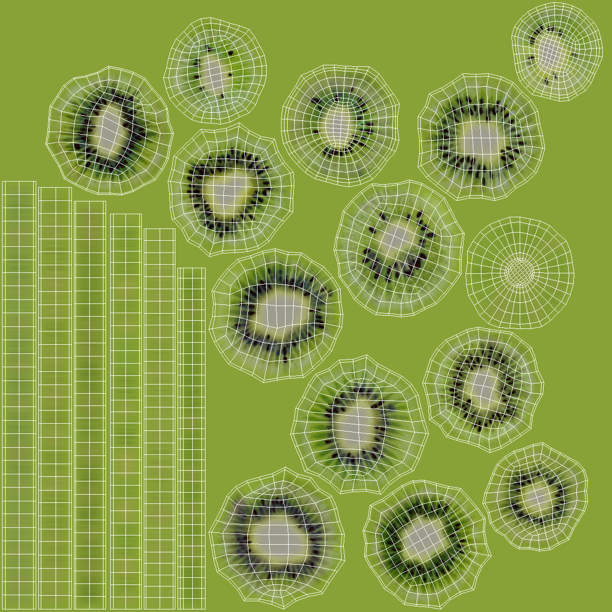 Kiwi Round Slices 3D