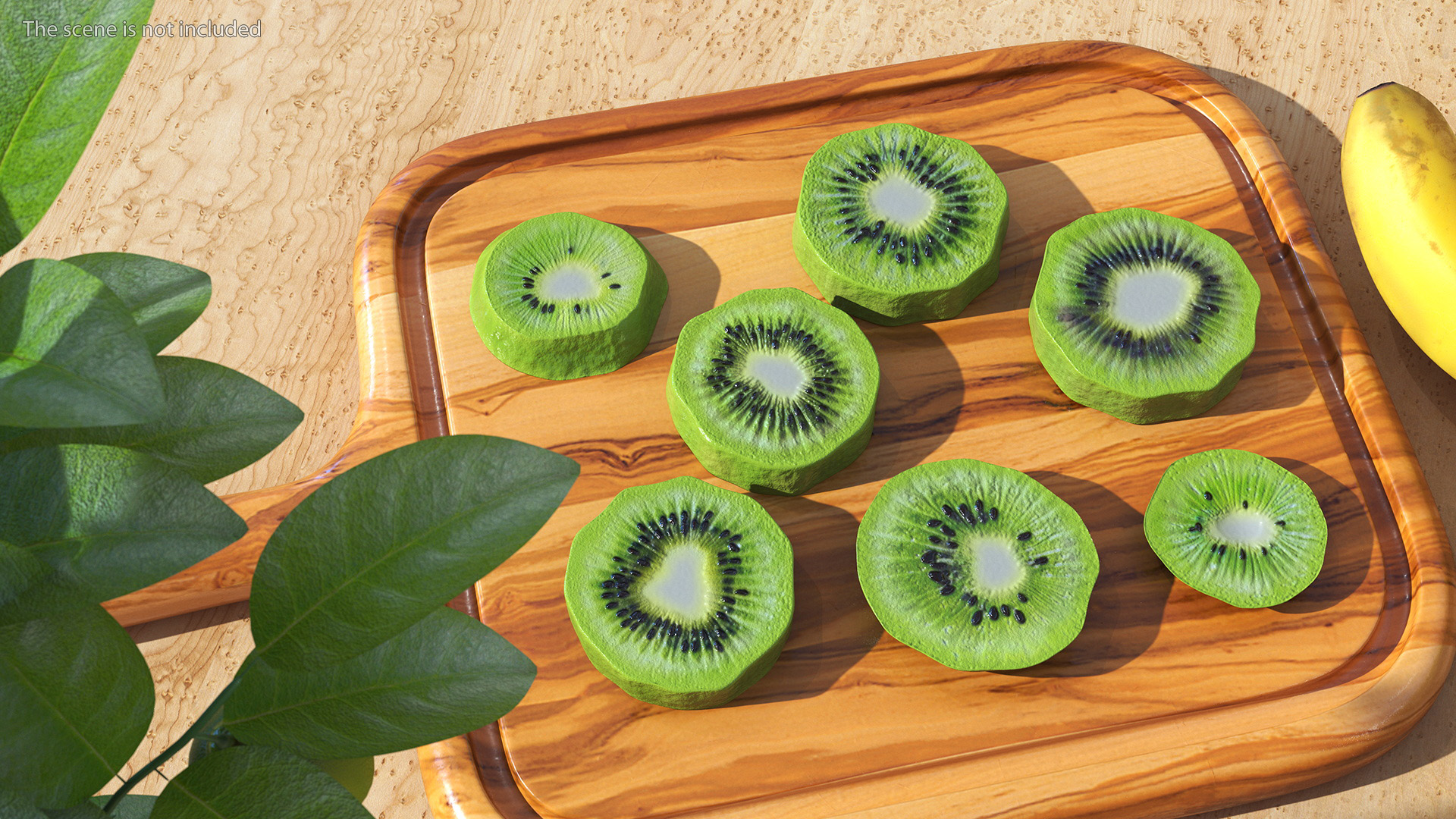 Kiwi Round Slices 3D