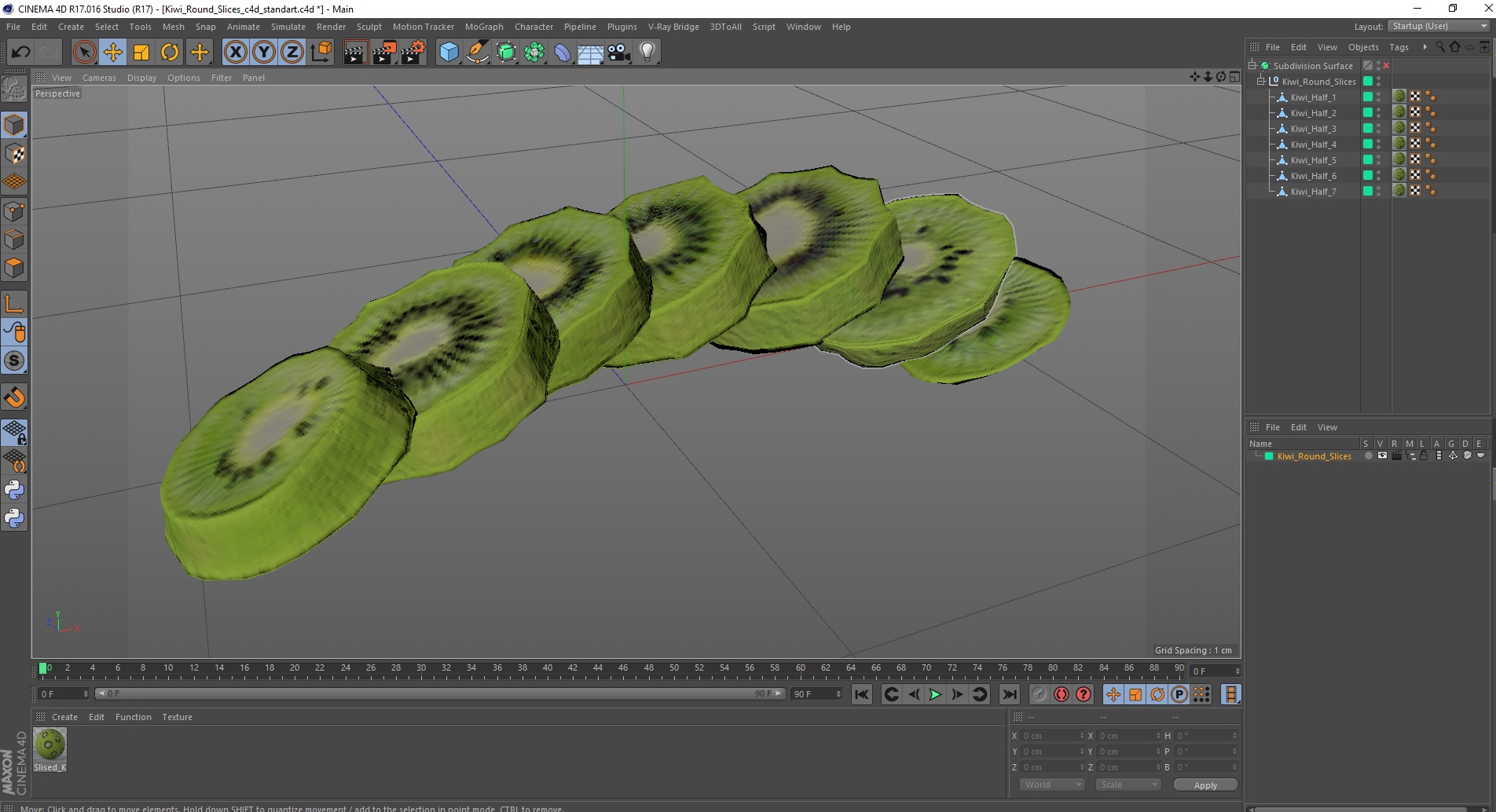 Kiwi Round Slices 3D