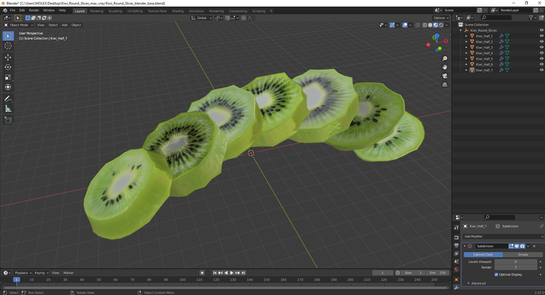 Kiwi Round Slices 3D