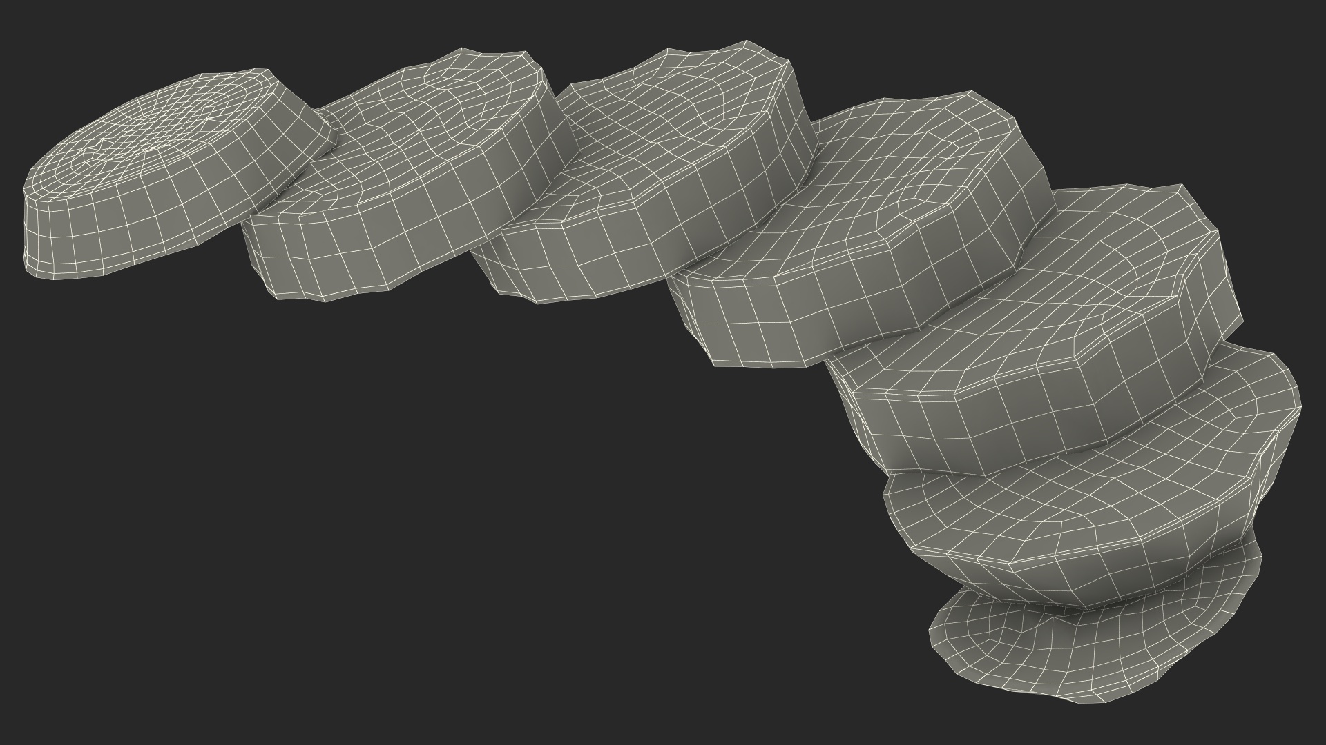 Kiwi Round Slices 3D