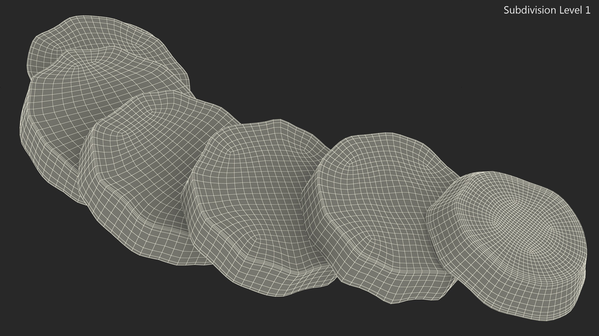 Kiwi Round Slices 3D